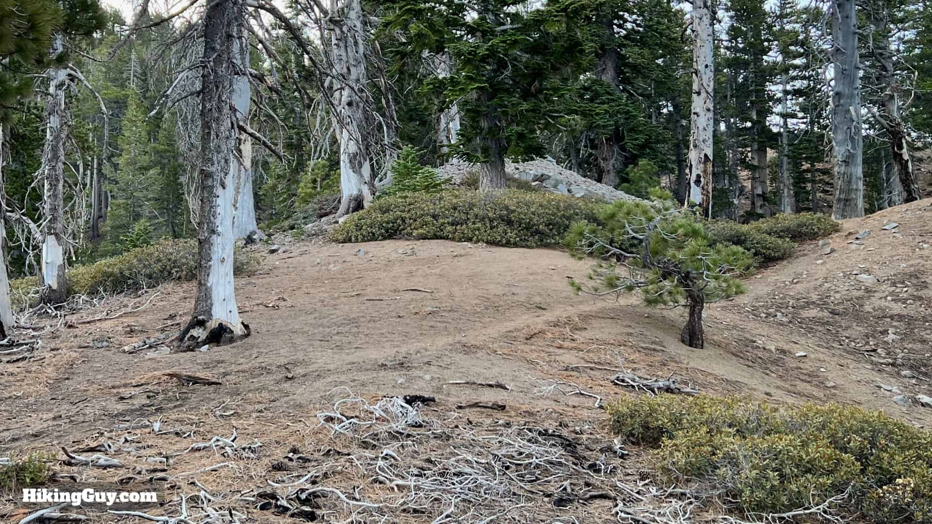 Throop Peak Mount Burnham Baden Powell Directions 15