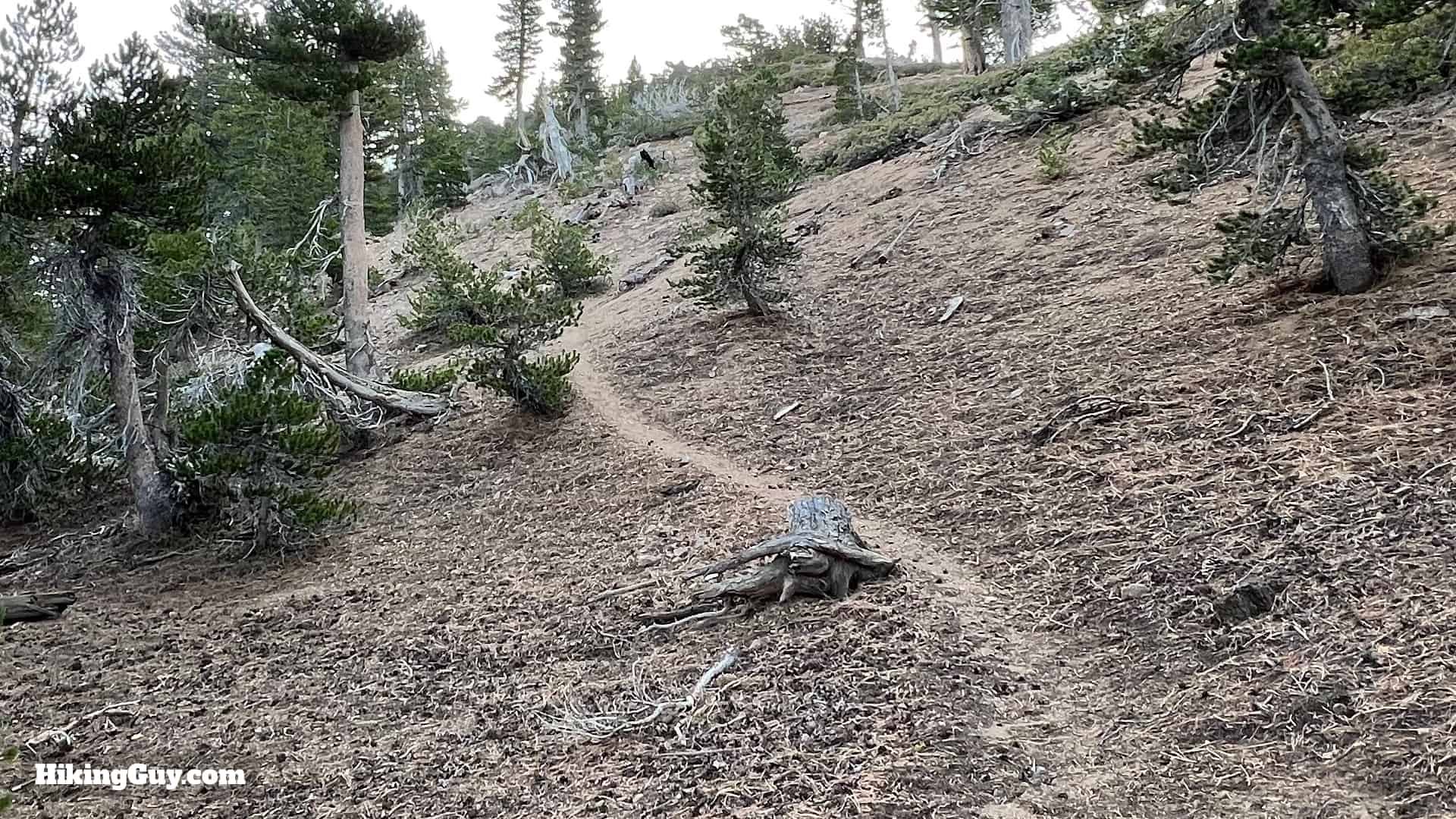 Throop Peak Mount Burnham Baden Powell Directions 16