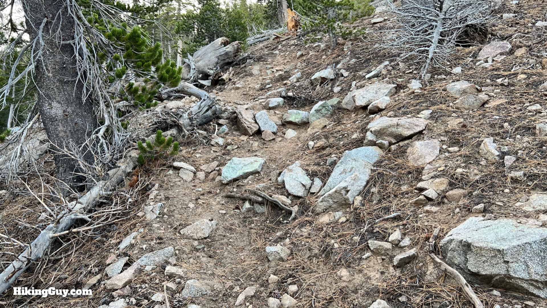 Throop Peak Mount Burnham Baden Powell Directions 17