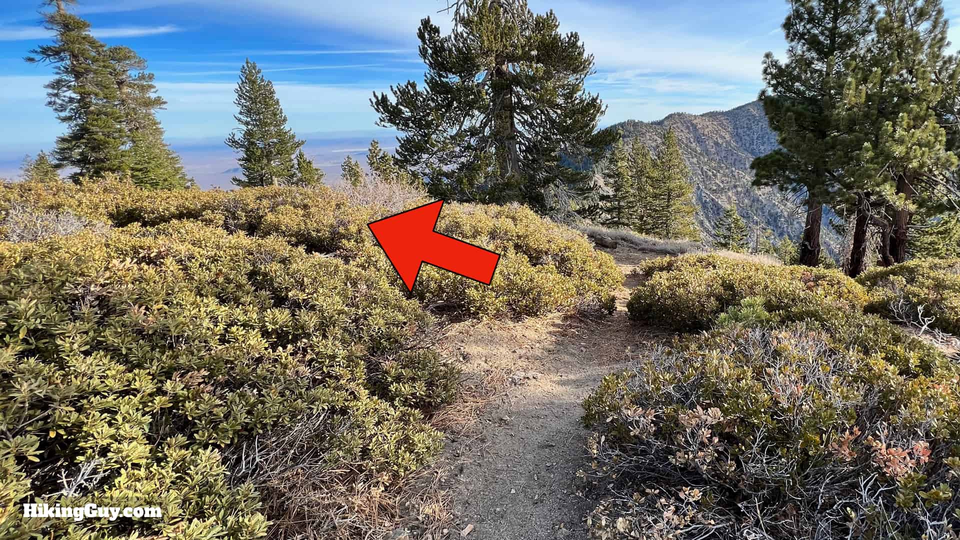 Throop Peak Mount Burnham Baden Powell Directions 25