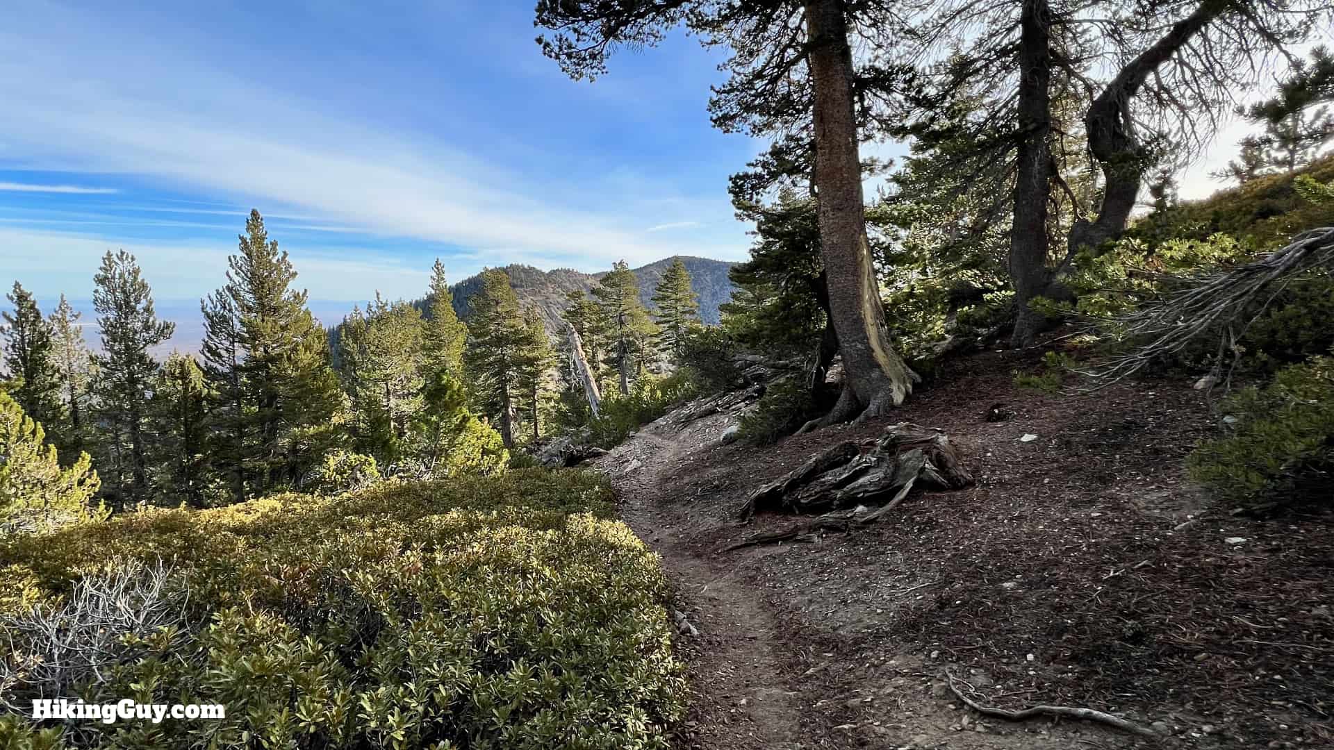 Throop Peak Mount Burnham Baden Powell Directions 30