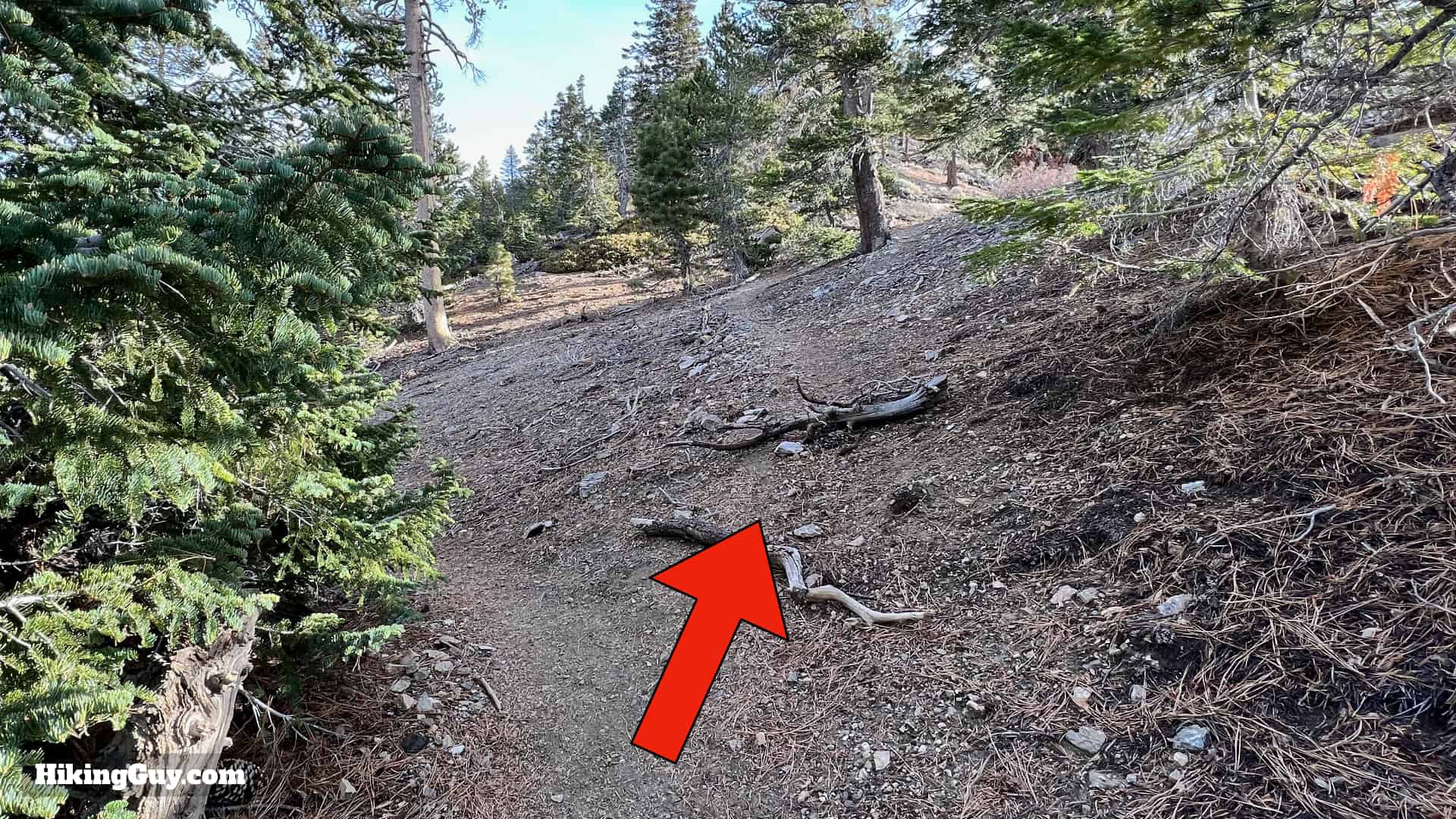 Throop Peak Mount Burnham Baden Powell Directions 32