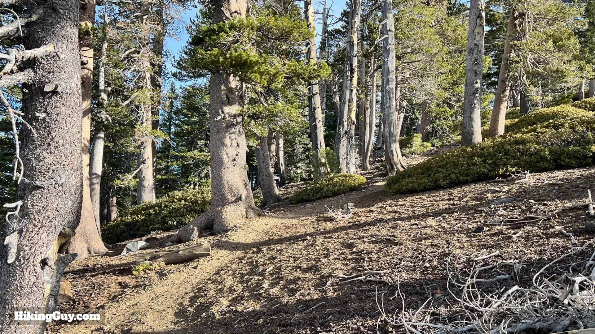 Throop Peak Mount Burnham Baden Powell Directions 34