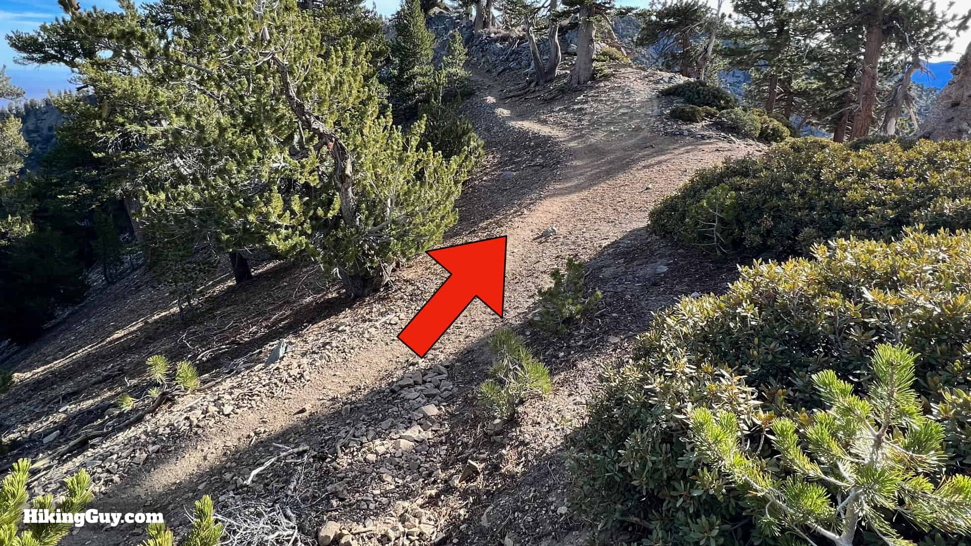 Throop Peak Mount Burnham Baden Powell Directions 38