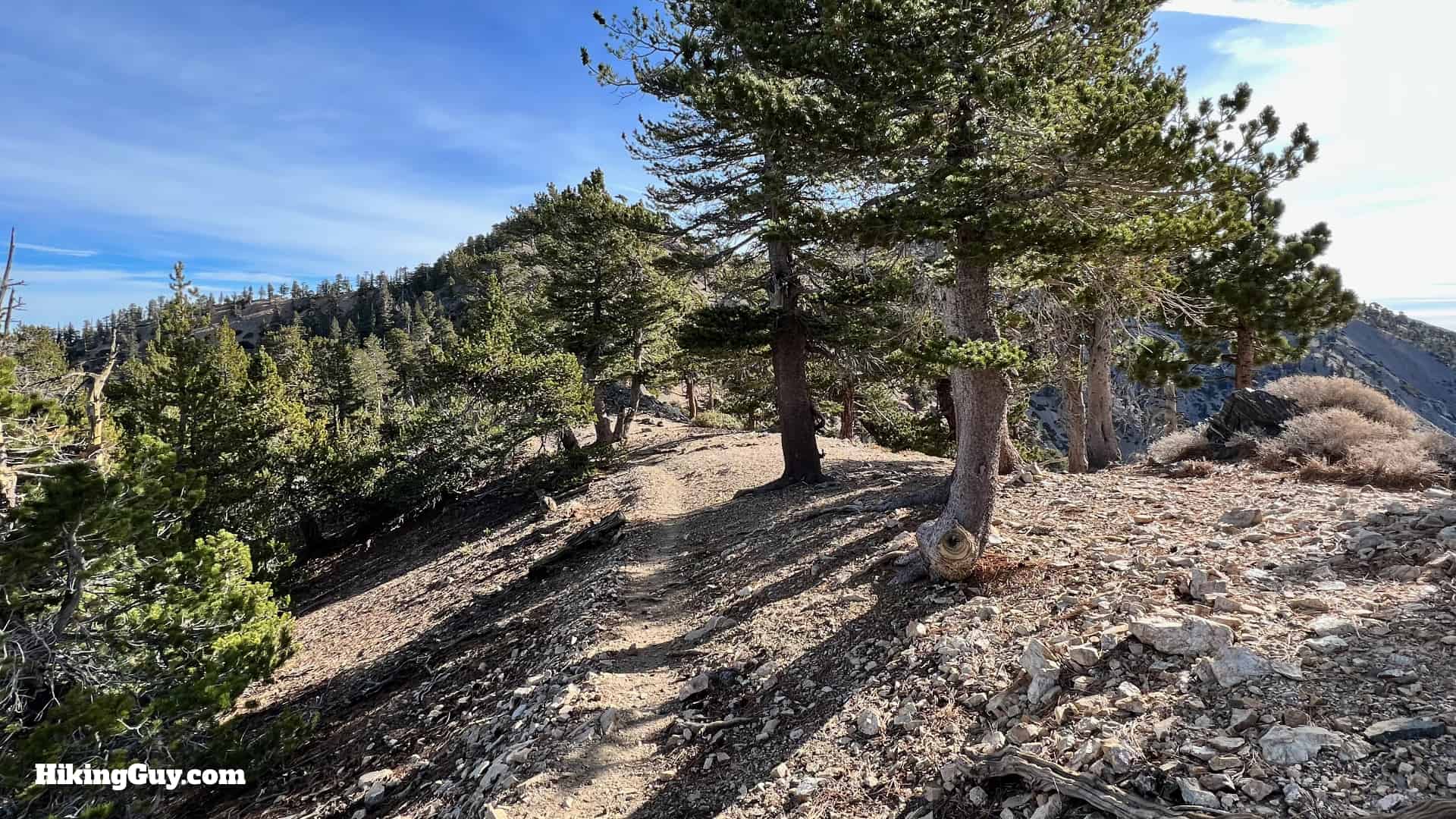 Throop Peak Mount Burnham Baden Powell Directions 39