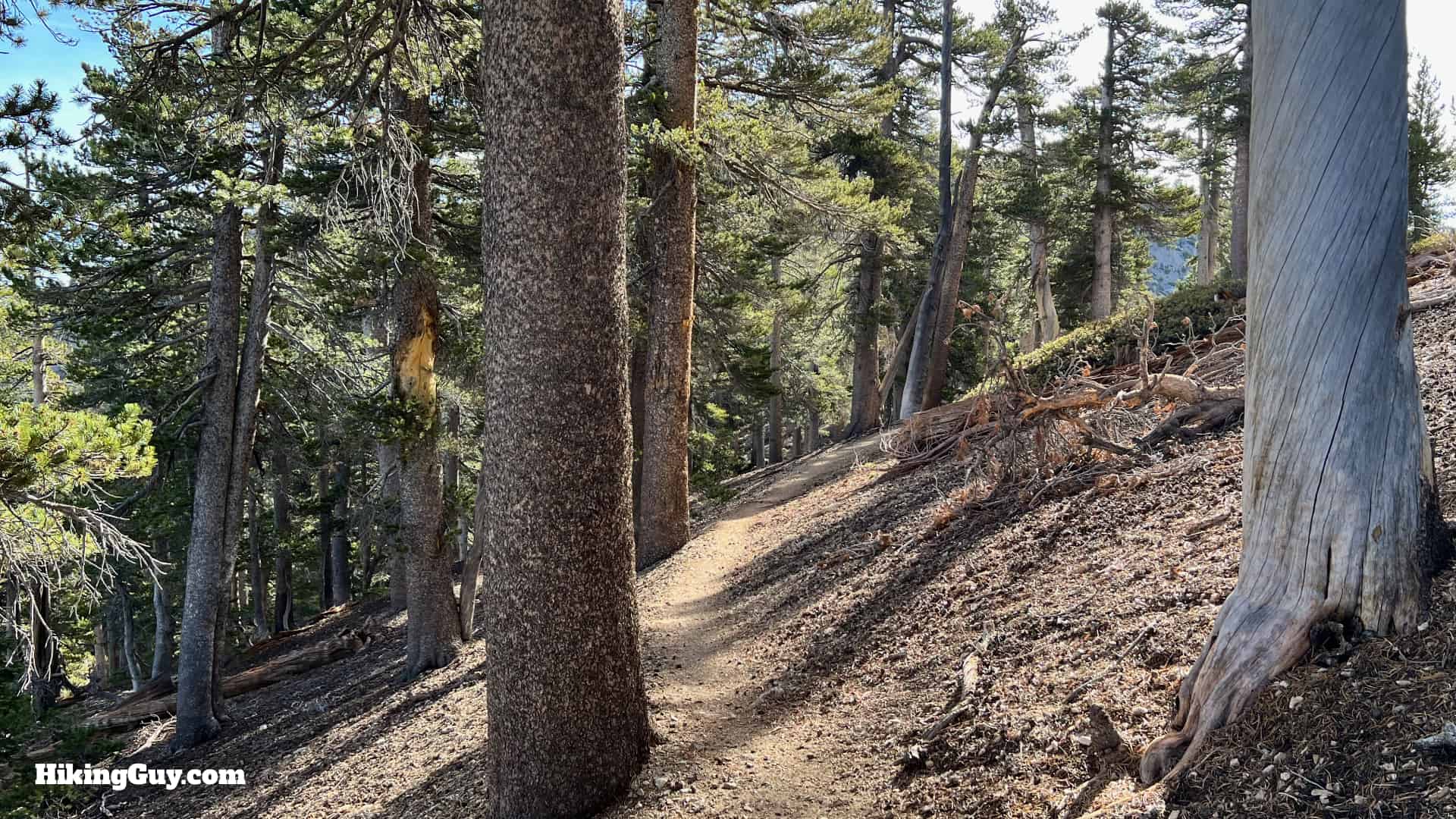 Throop Peak Mount Burnham Baden Powell Directions 40