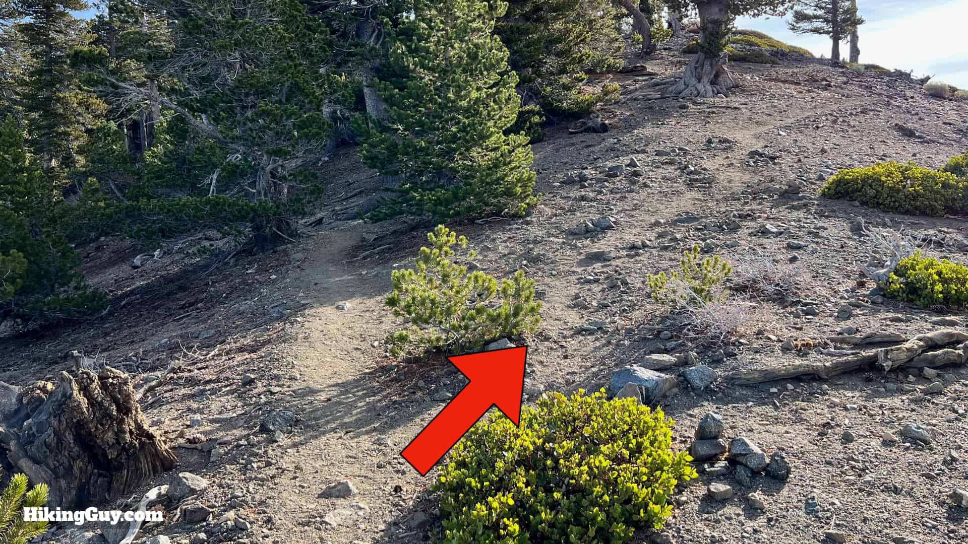 Throop Peak Mount Burnham Baden Powell Directions 41