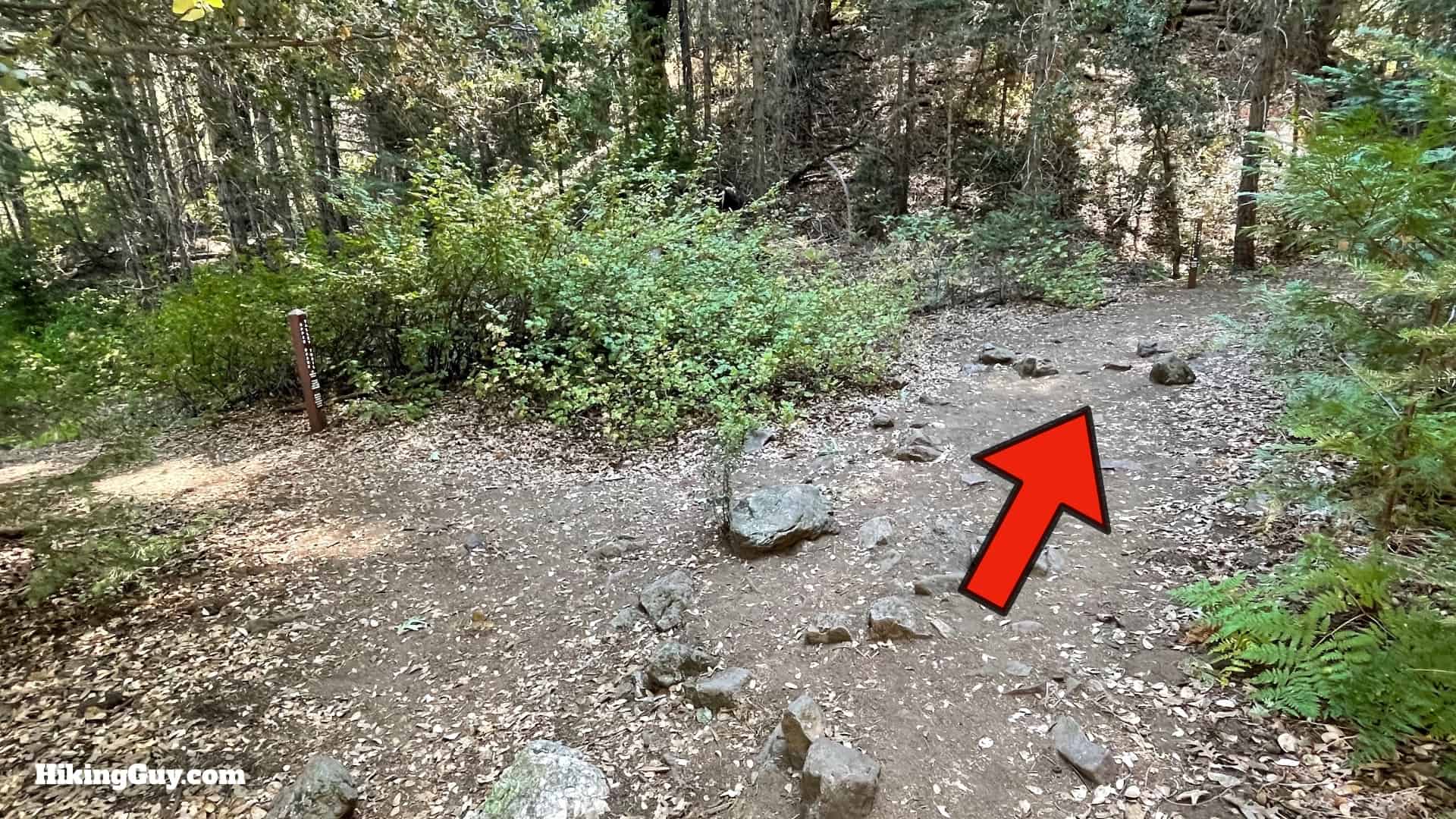 Thunder Spring Trail Directions 50
