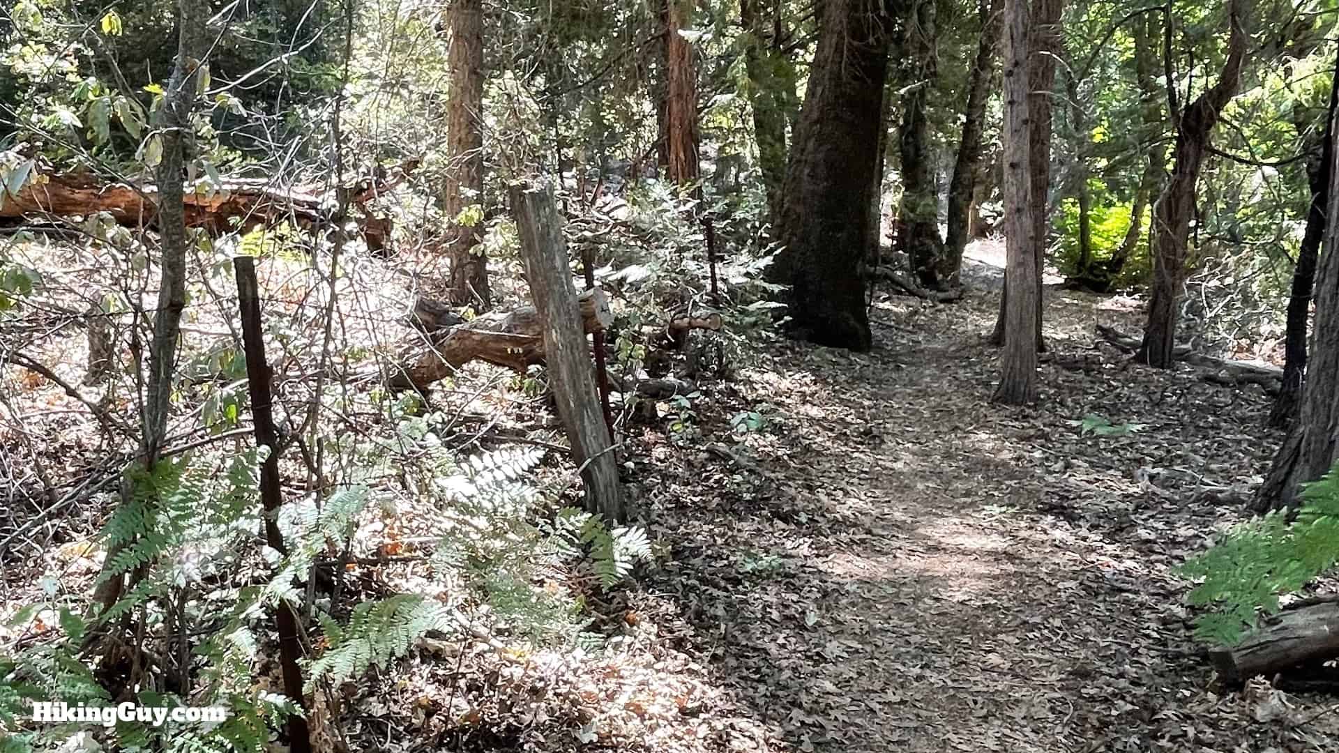 Thunder Spring Trail Directions 54