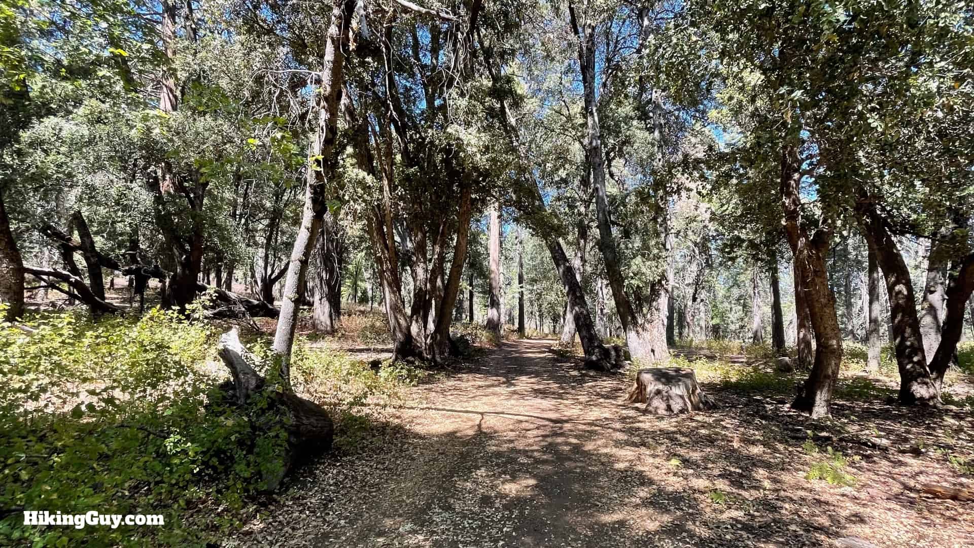 Thunder Spring Trail Directions 56