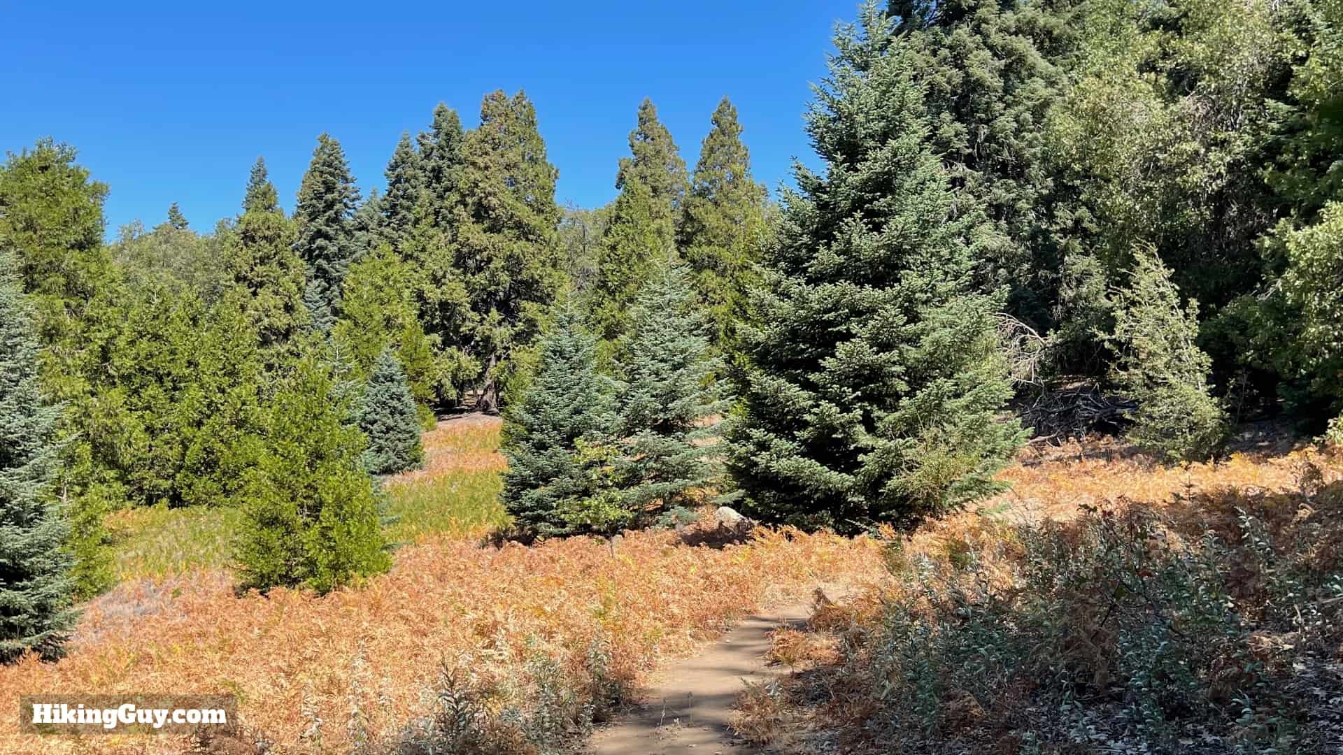 Thunder Spring Trail Directions 61
