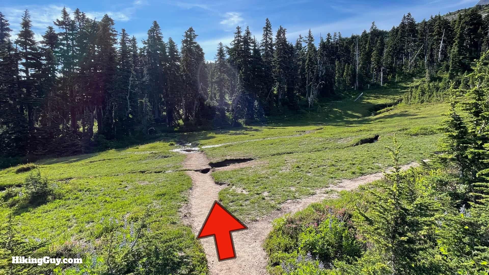 Timberline Trail Directions 100