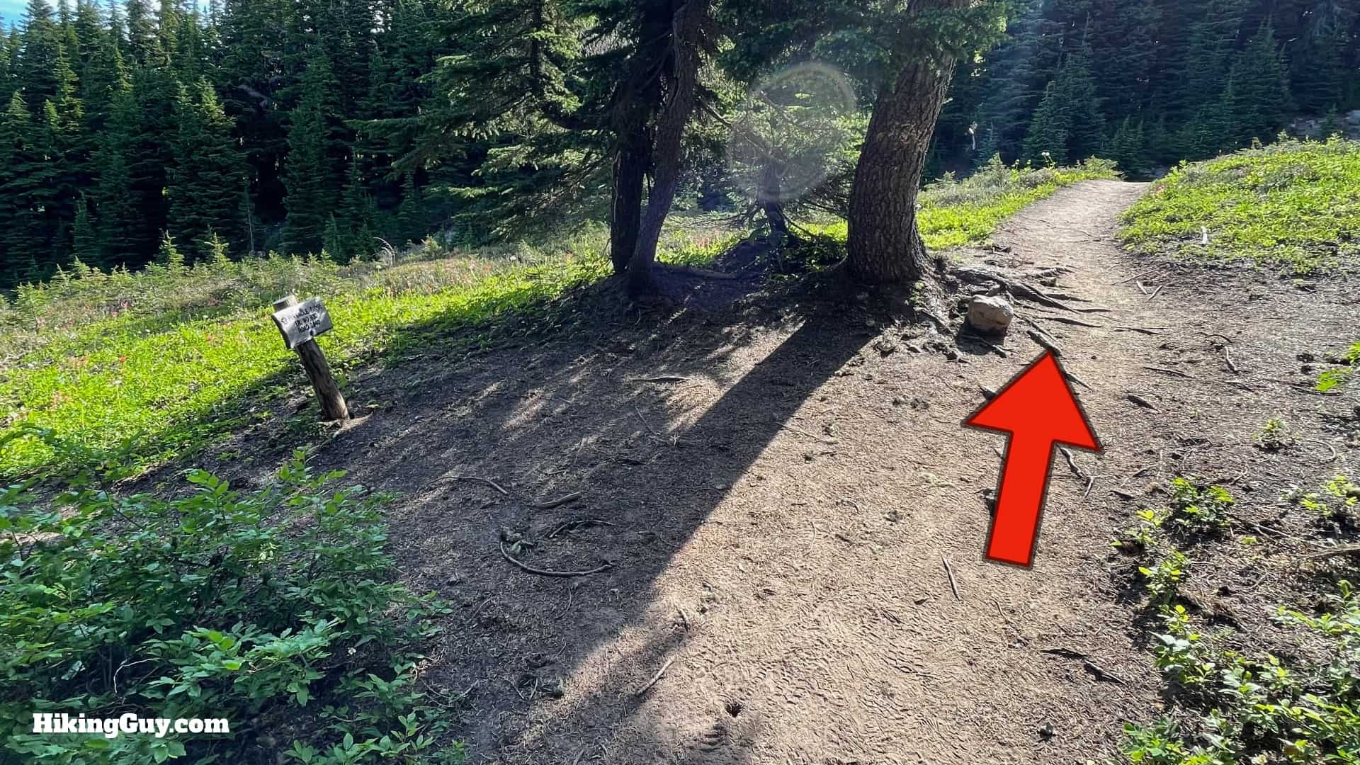 Timberline Trail Directions 101