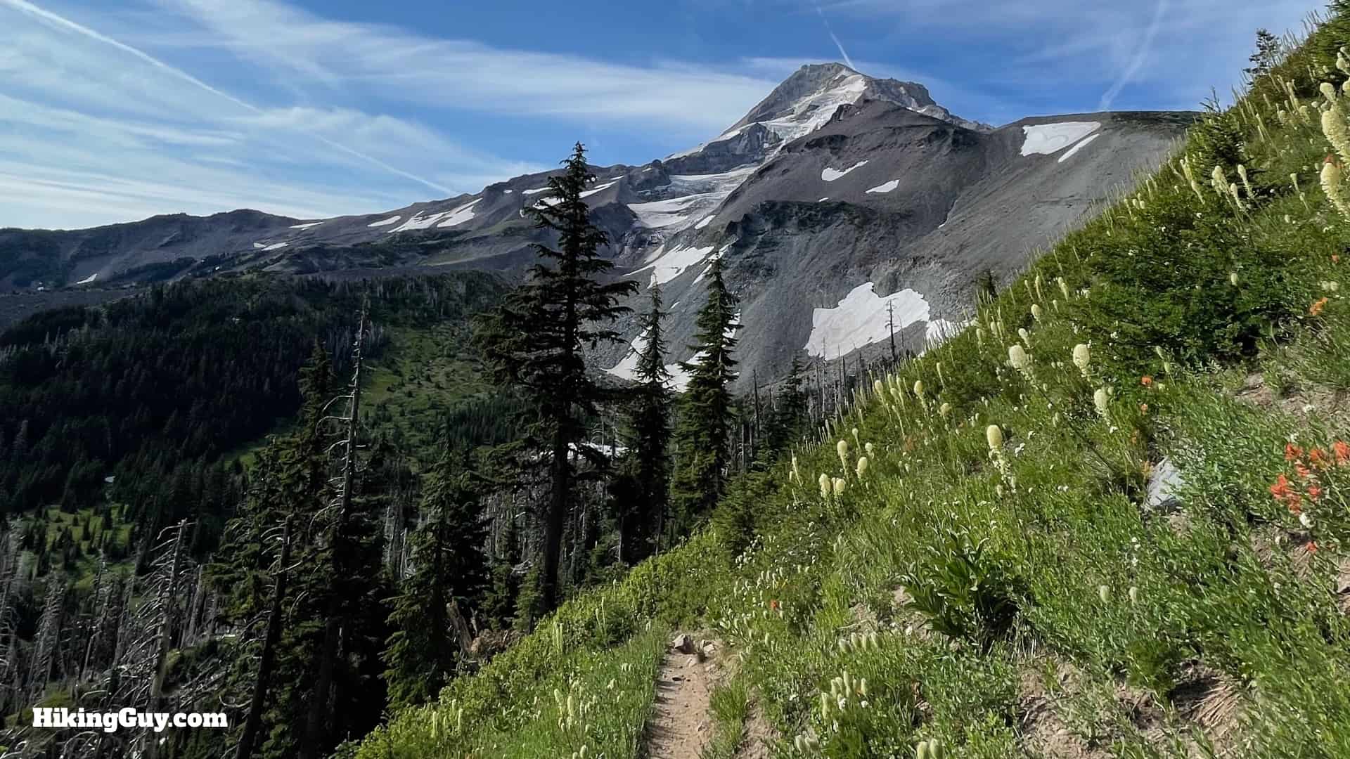 Timberline Trail Directions 102
