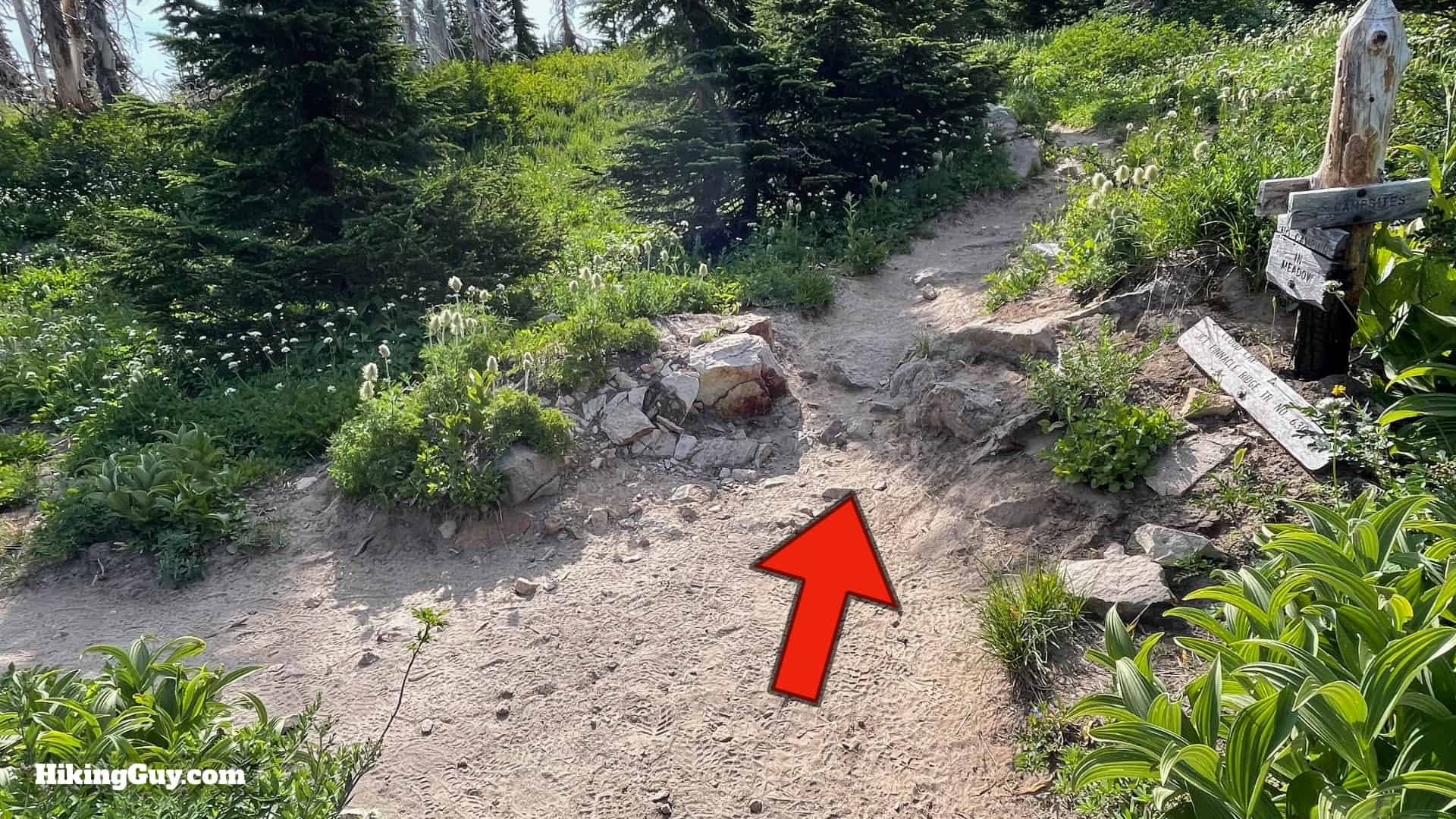 Timberline Trail Directions 103