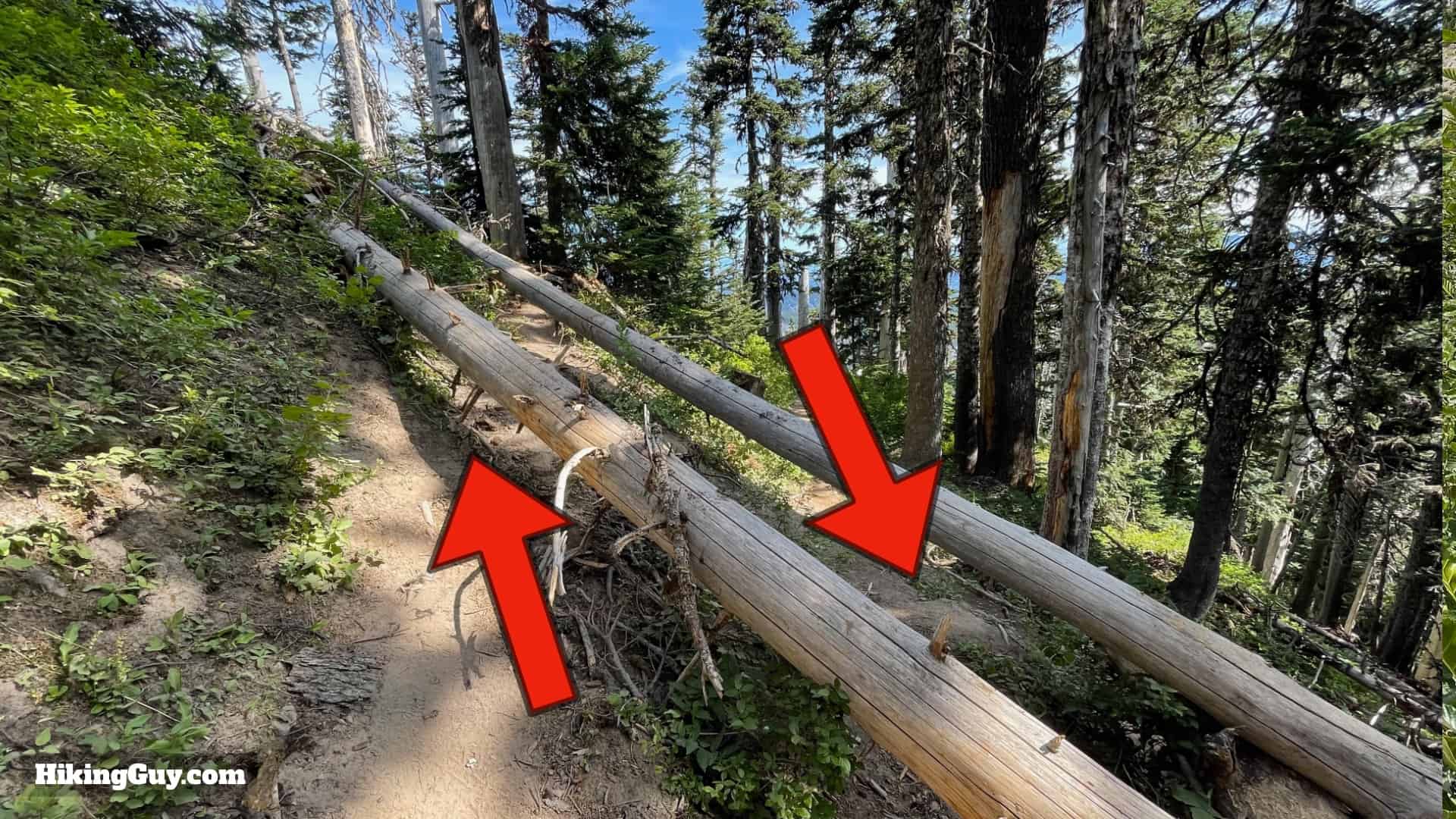 Timberline Trail Directions 107