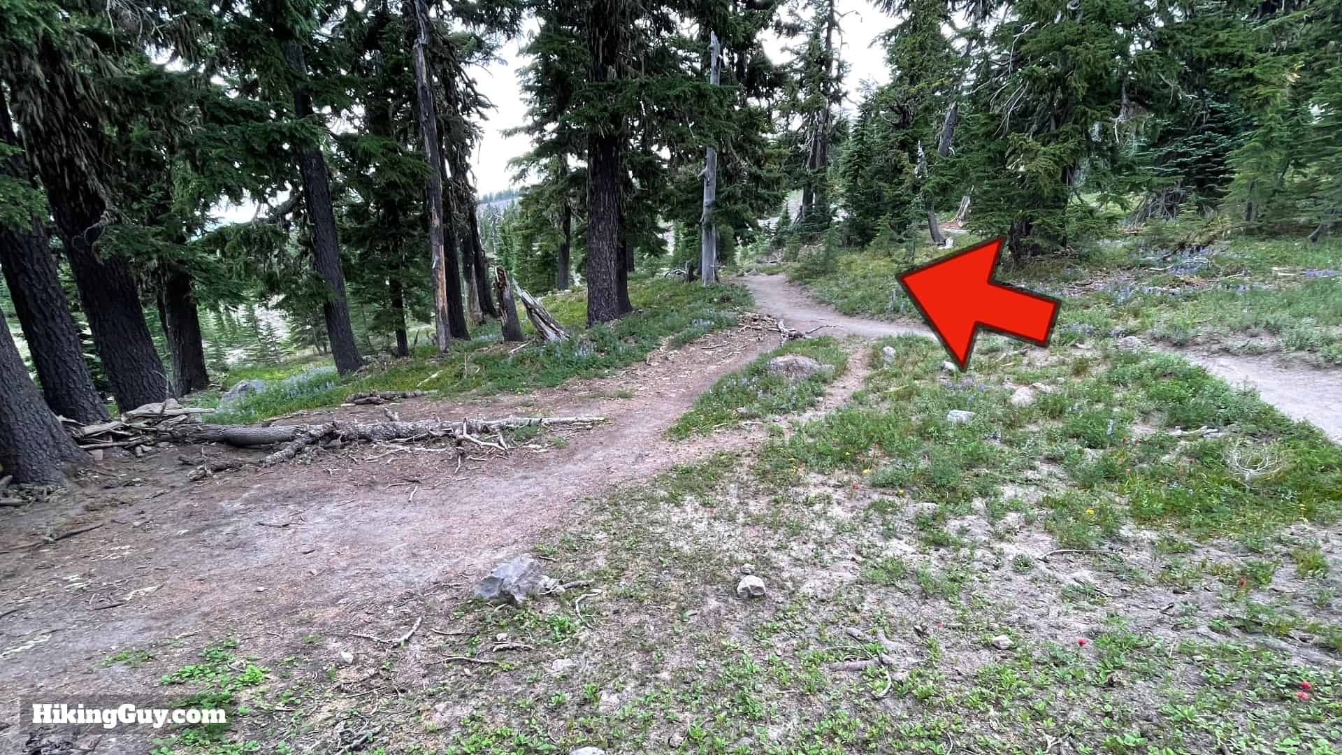 Timberline Trail Directions 11