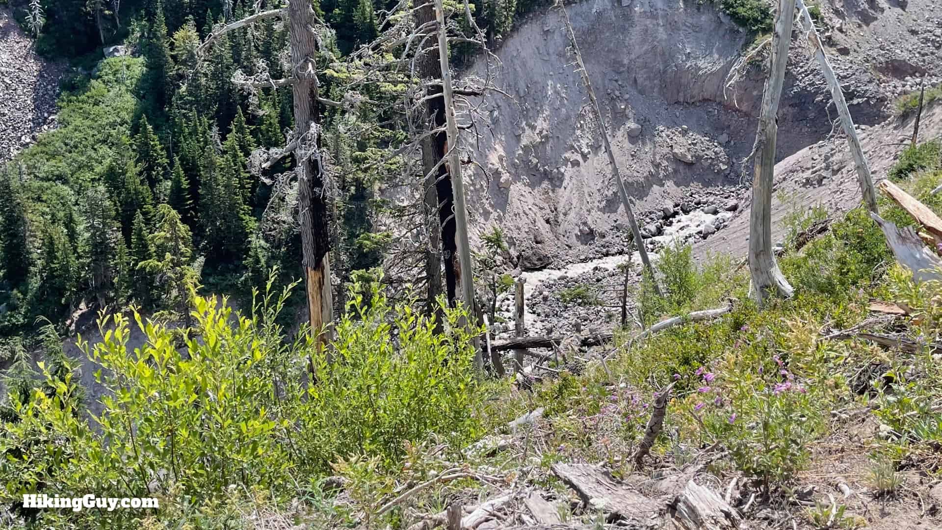 Timberline Trail Directions 110