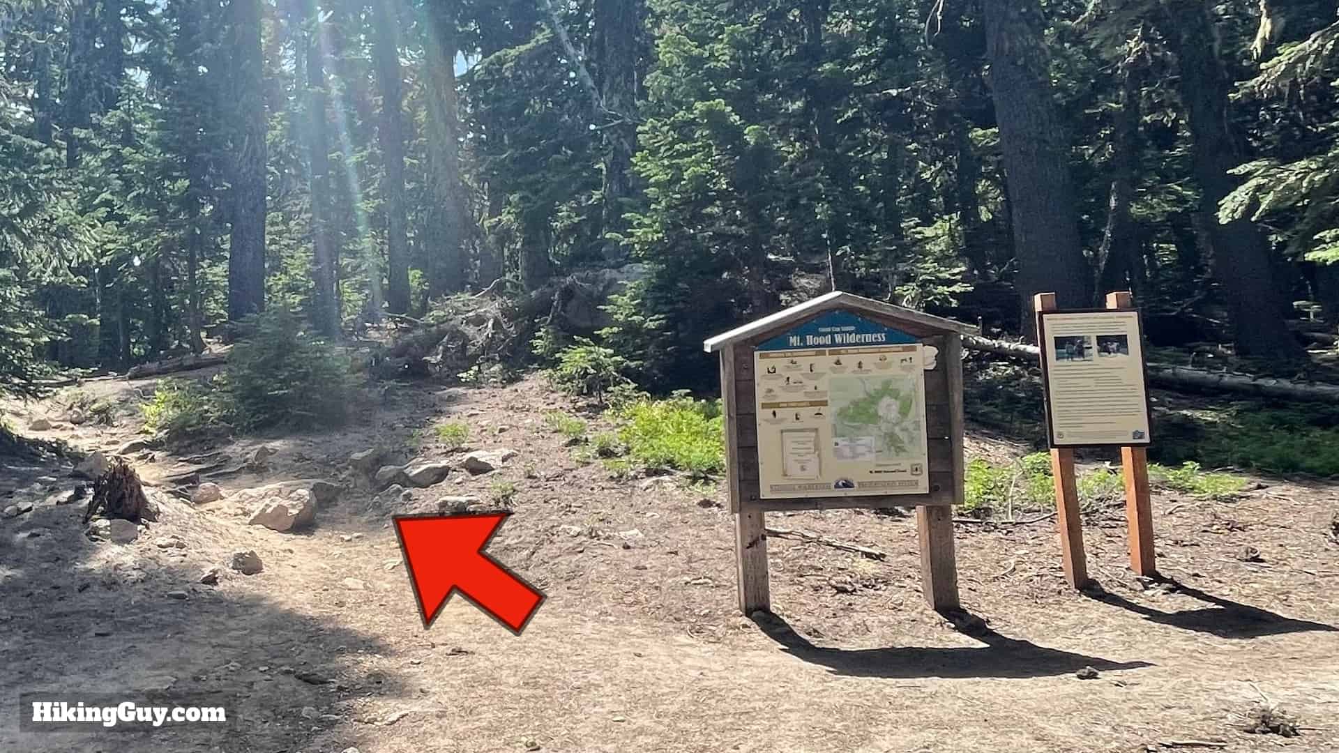 Timberline Trail Directions 118