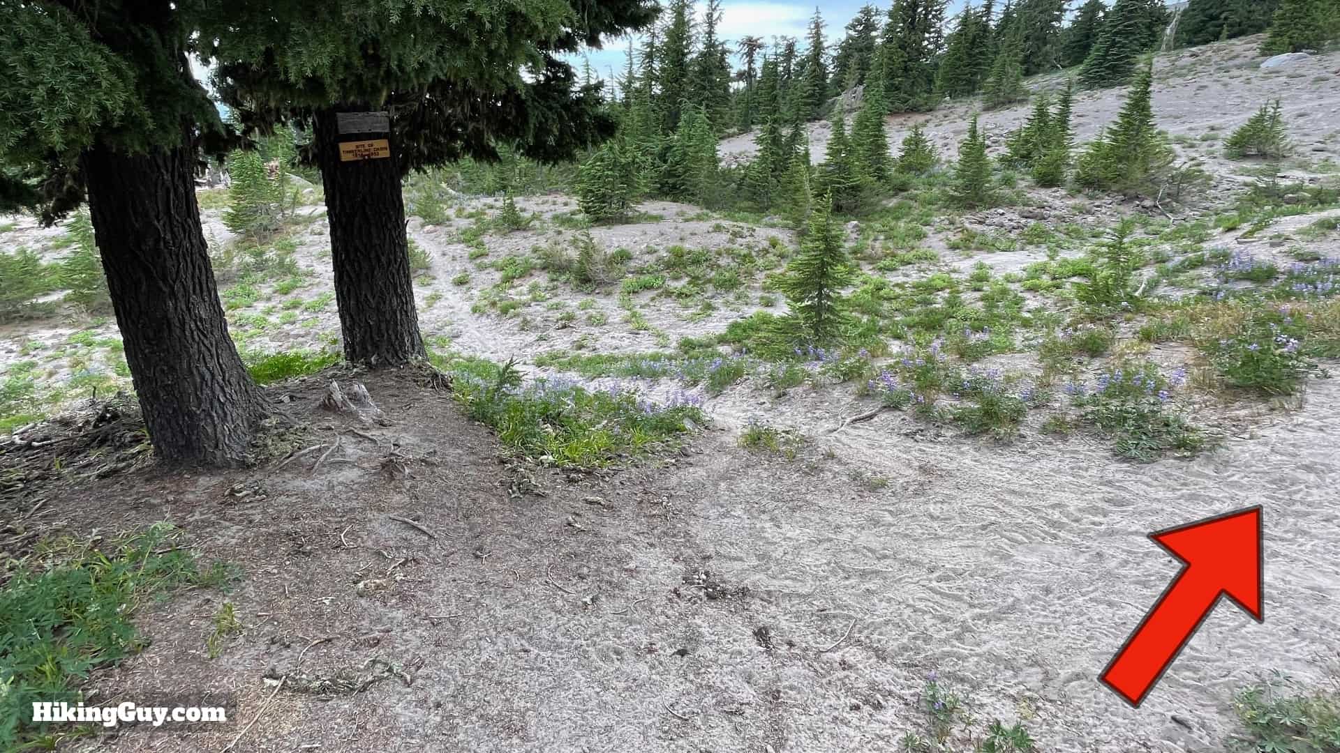 Timberline Trail Directions 12