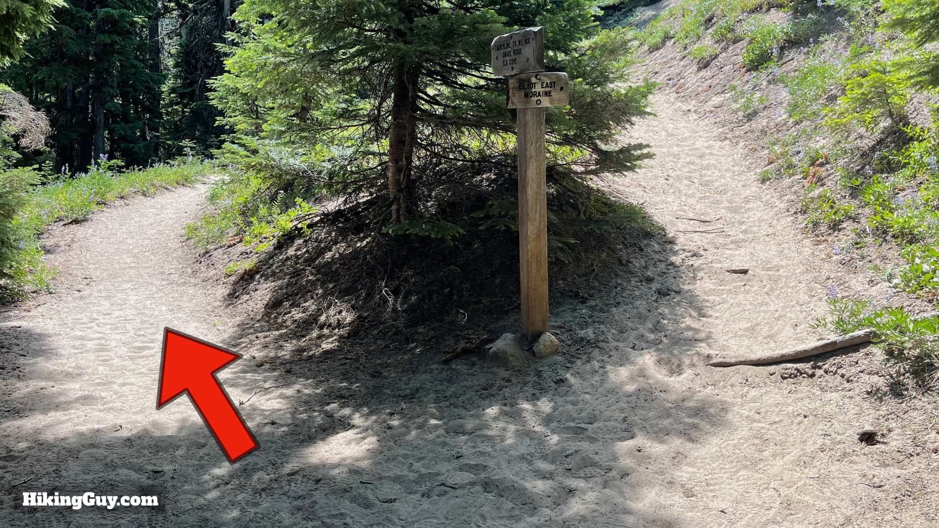 Timberline Trail Directions 120