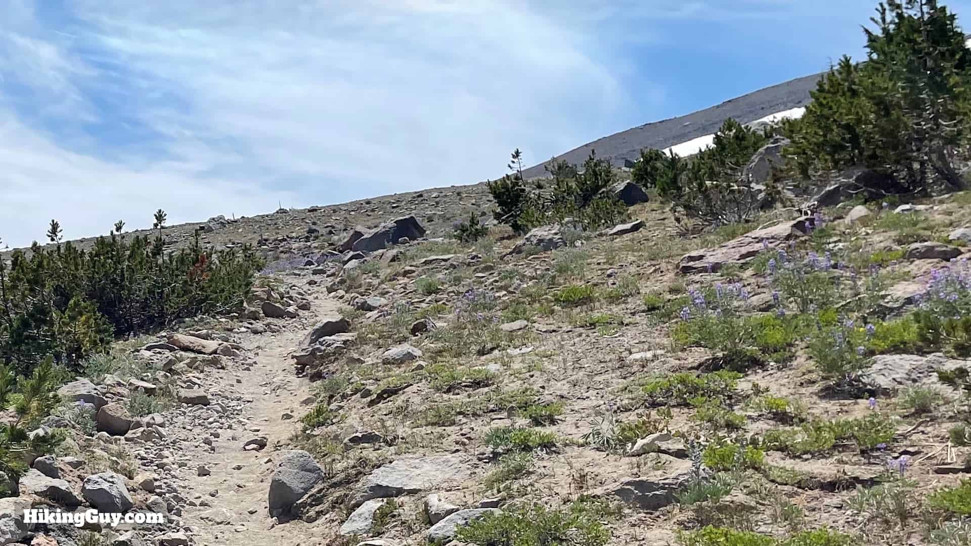 Timberline Trail Directions 123