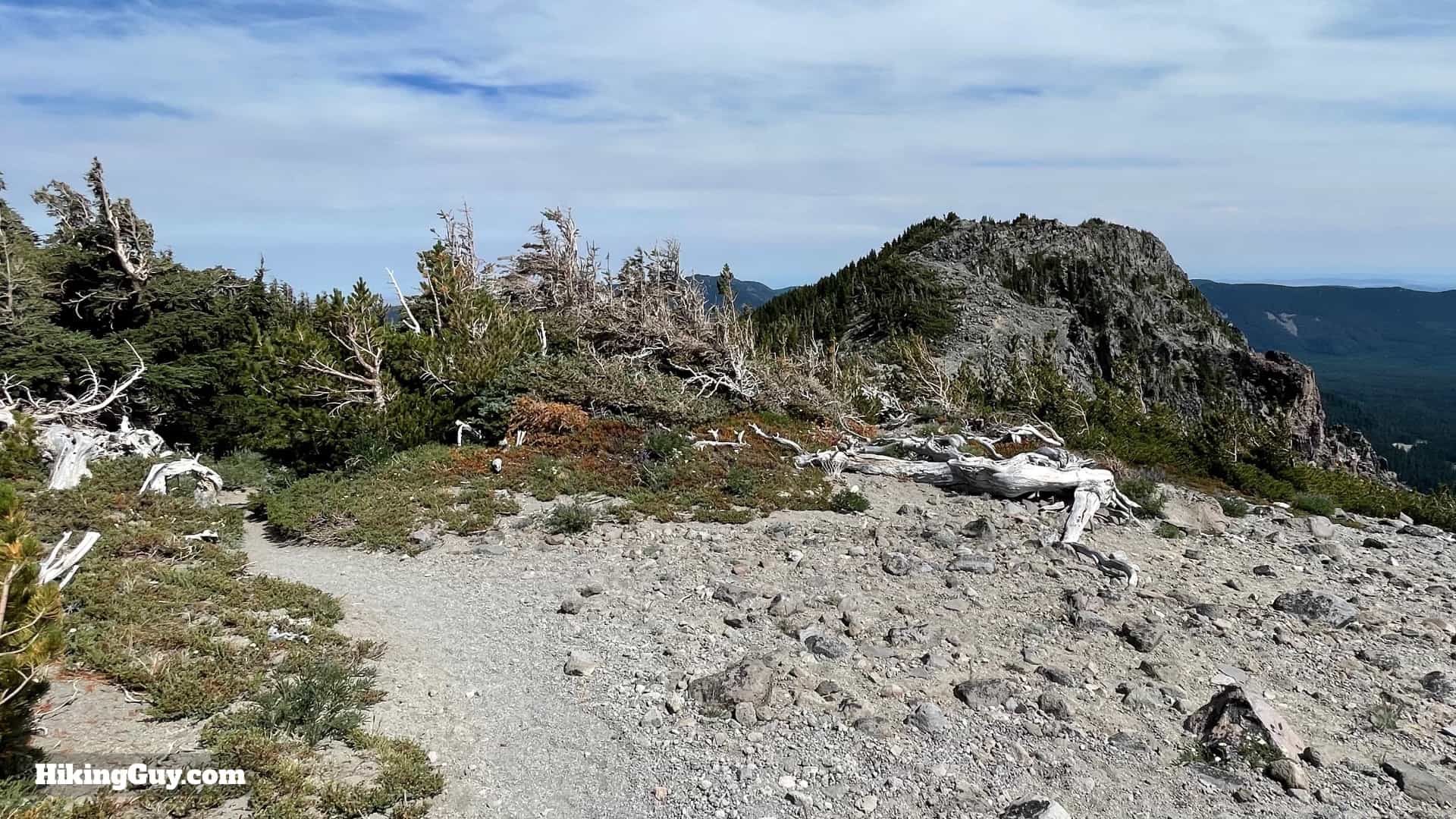 Timberline Trail Directions 139