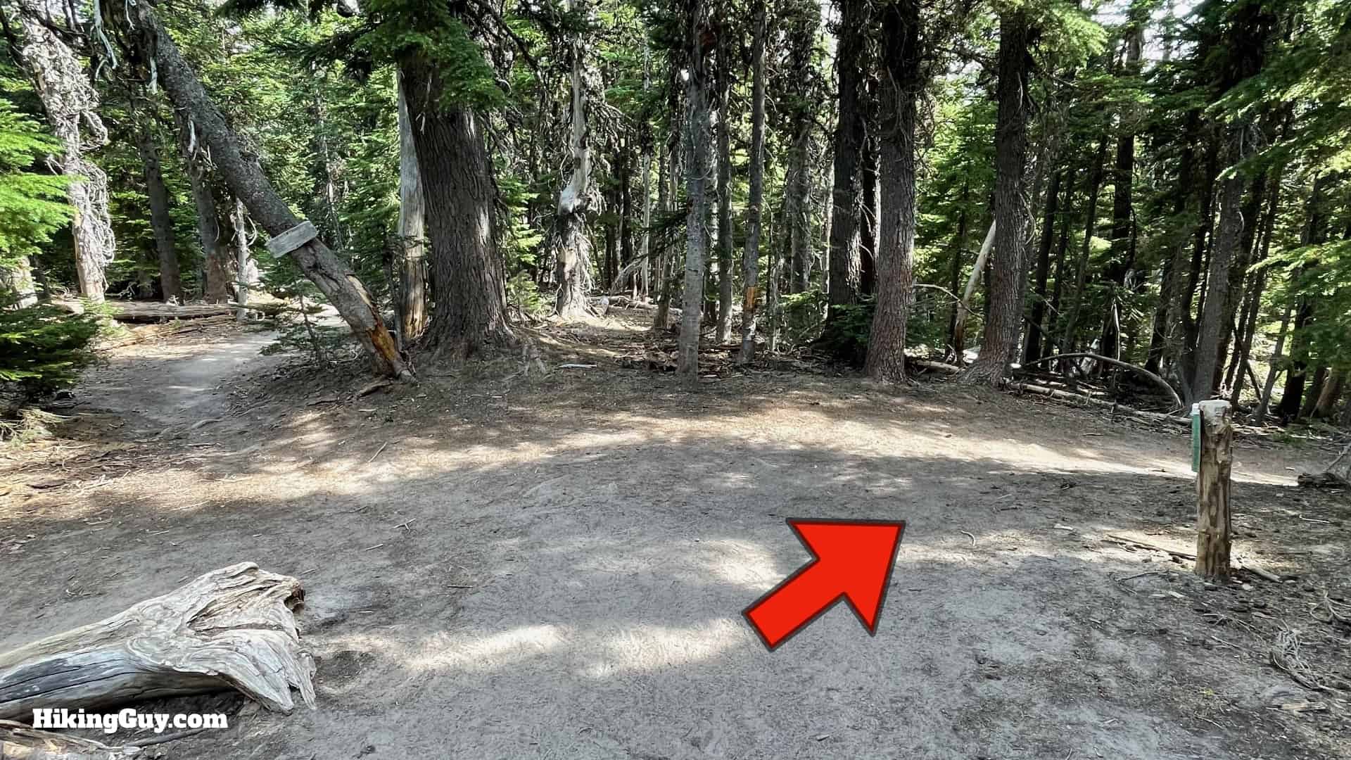 Timberline Trail Directions 142