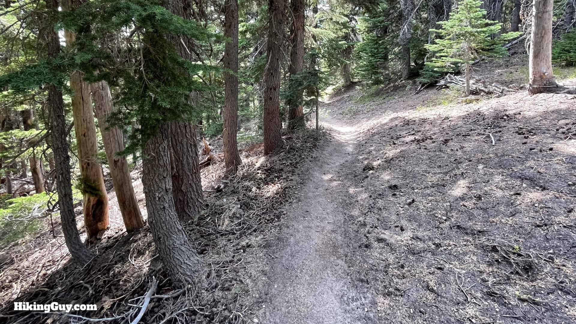 Timberline Trail Directions 144