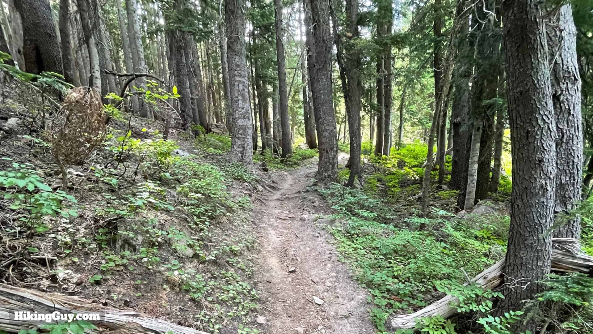 Timberline Trail Directions 147