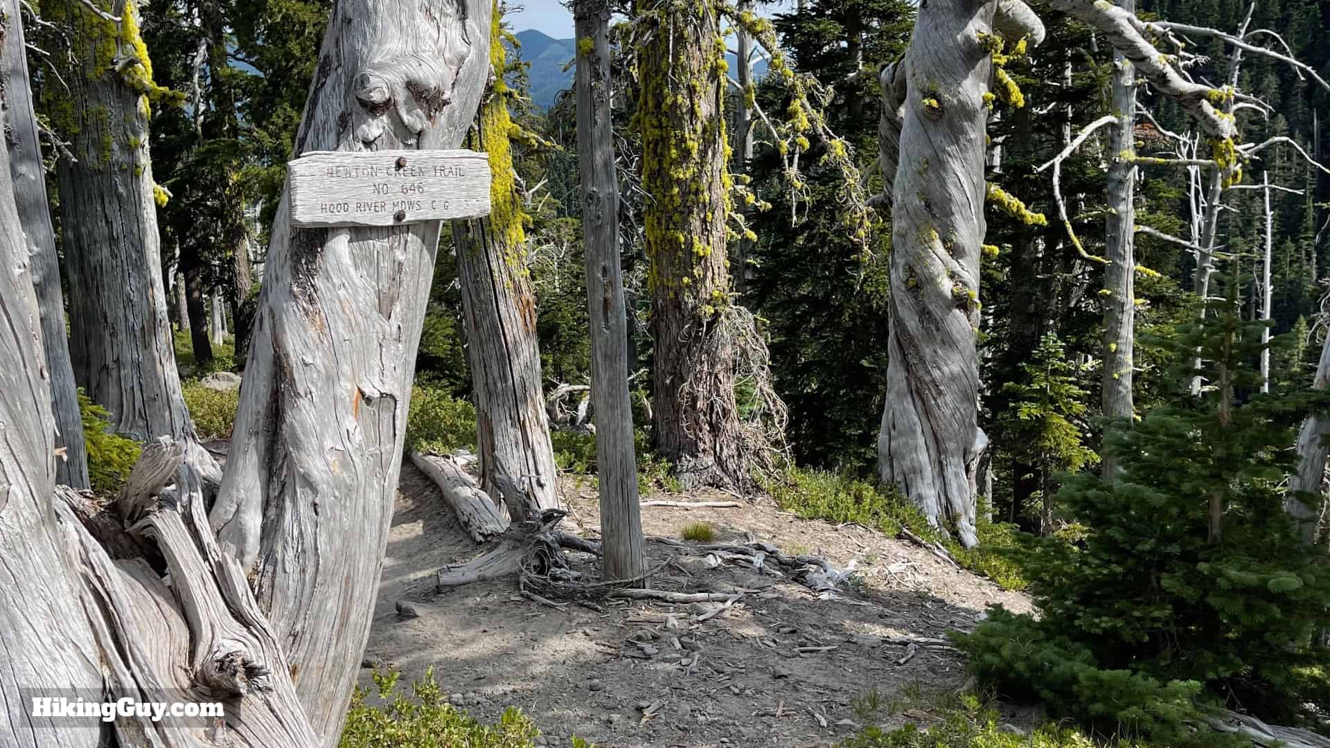 Timberline Trail Directions 148