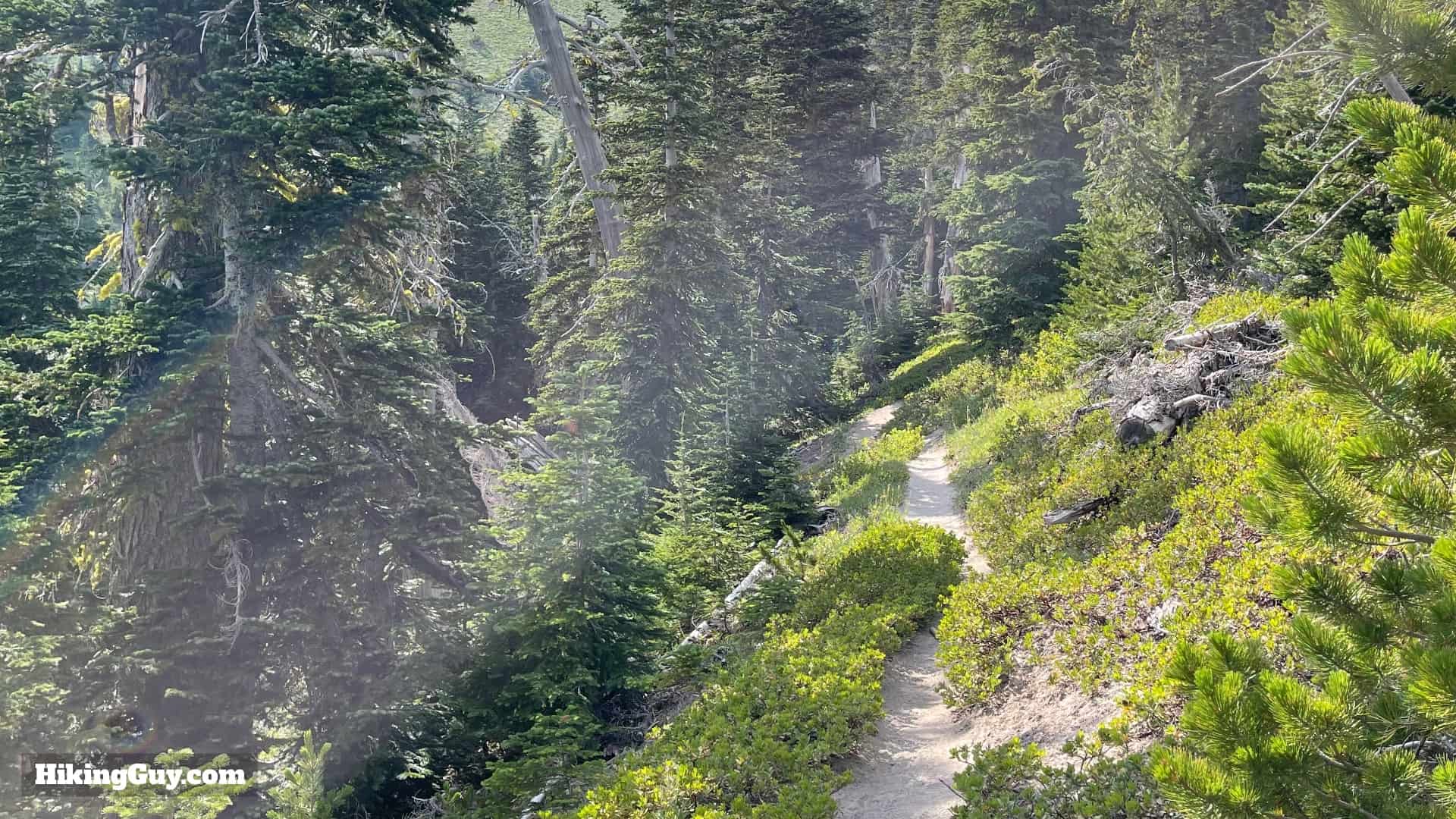 Timberline Trail Directions 149