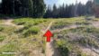 Timberline Trail Directions 155