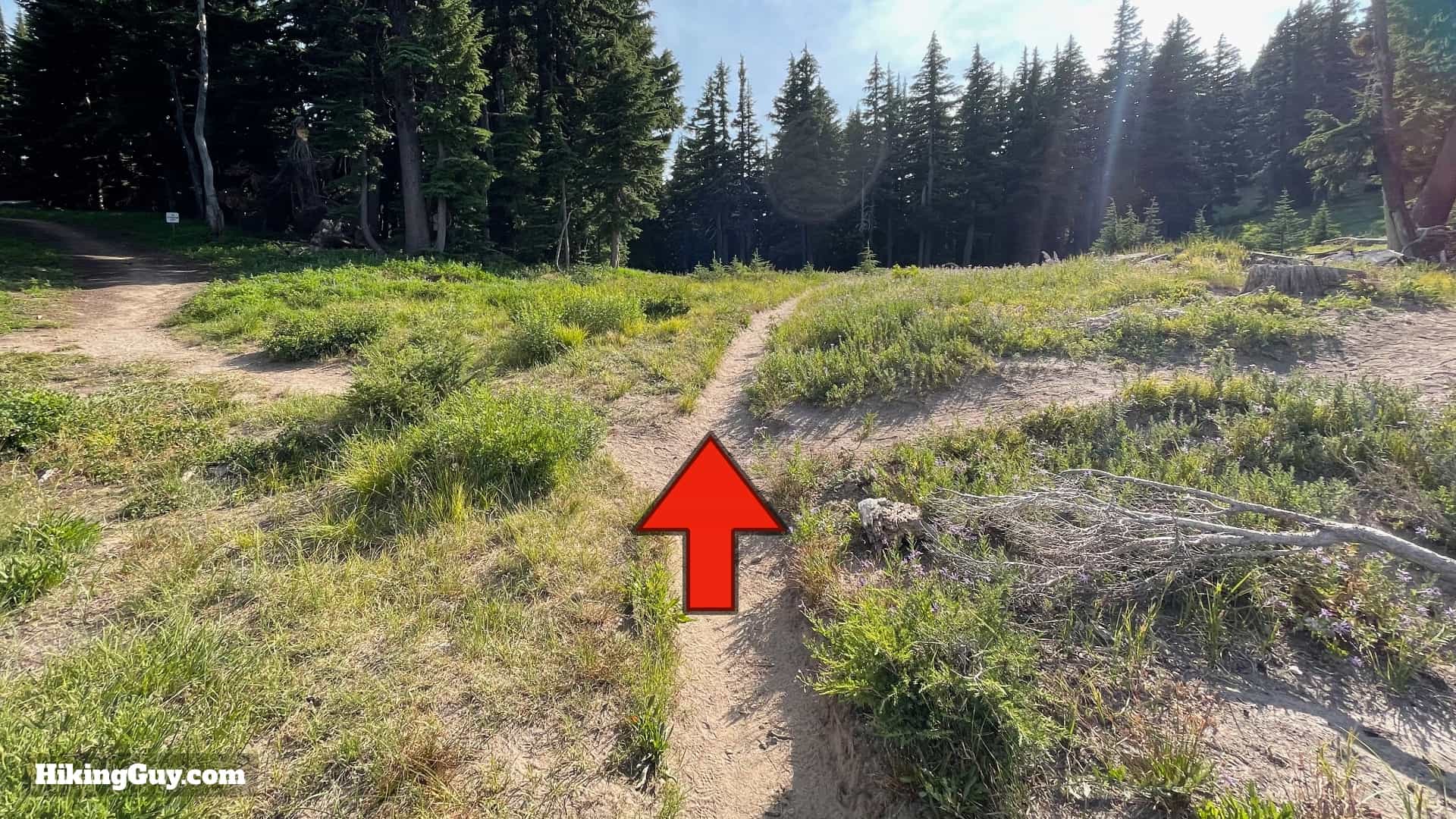 Timberline Trail Directions 155