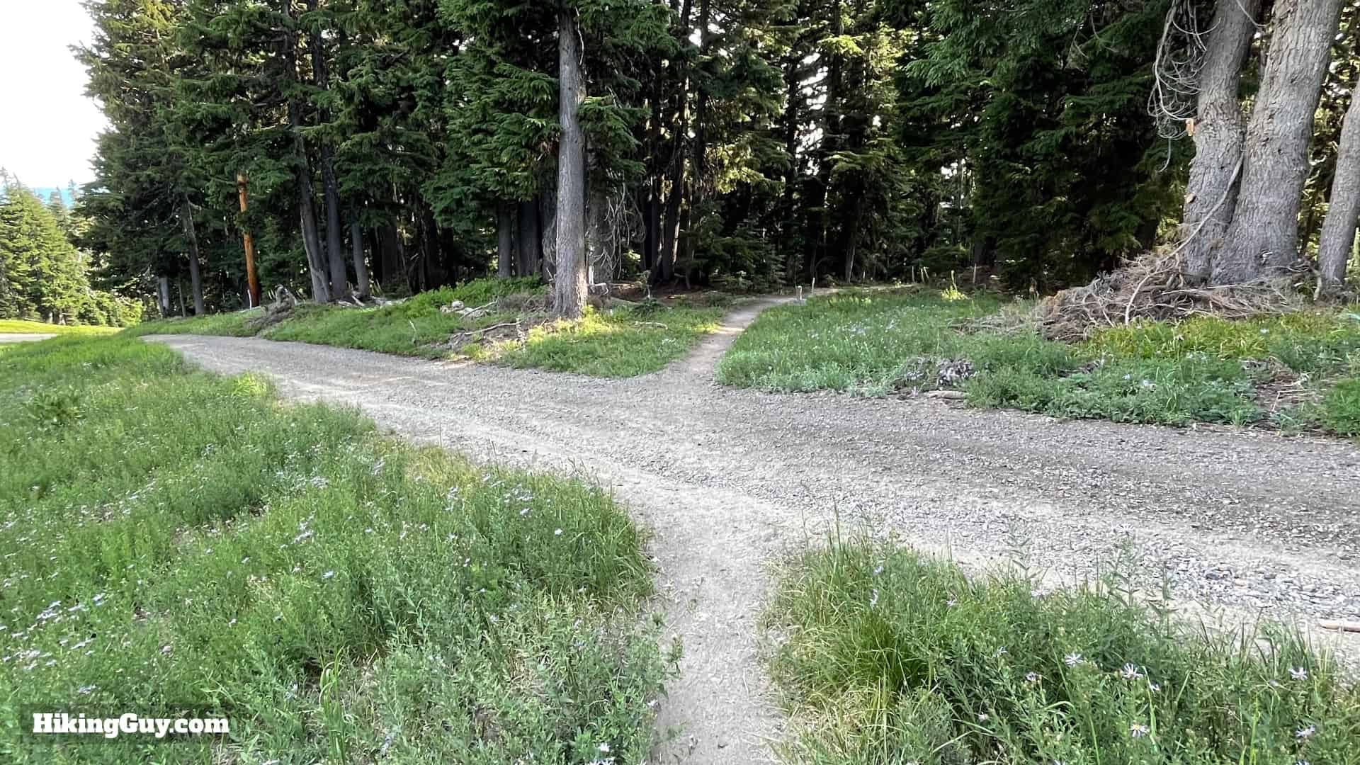 Timberline Trail Directions 156