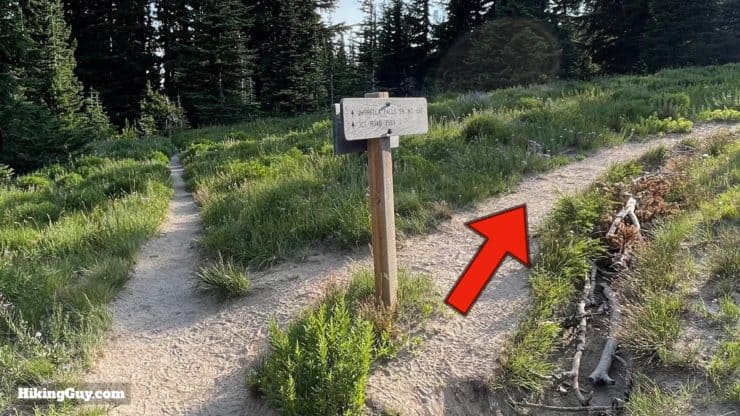 Timberline Trail Directions 159