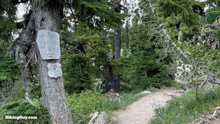 Timberline Trail Directions 16