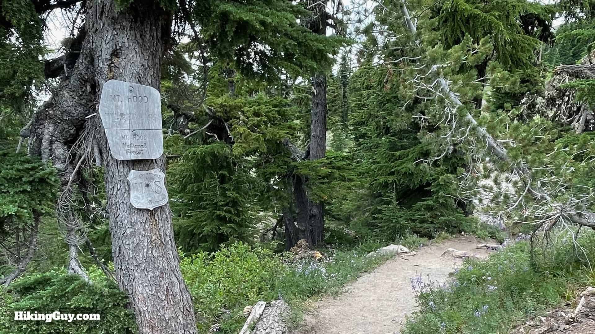 Timberline Trail Directions 16