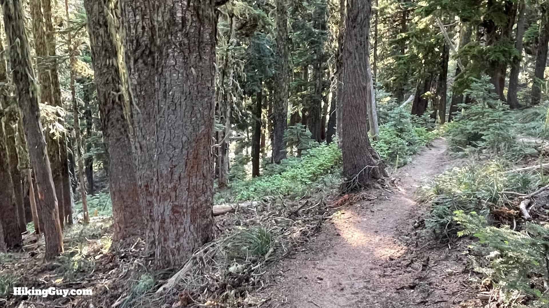 Timberline Trail Directions 160