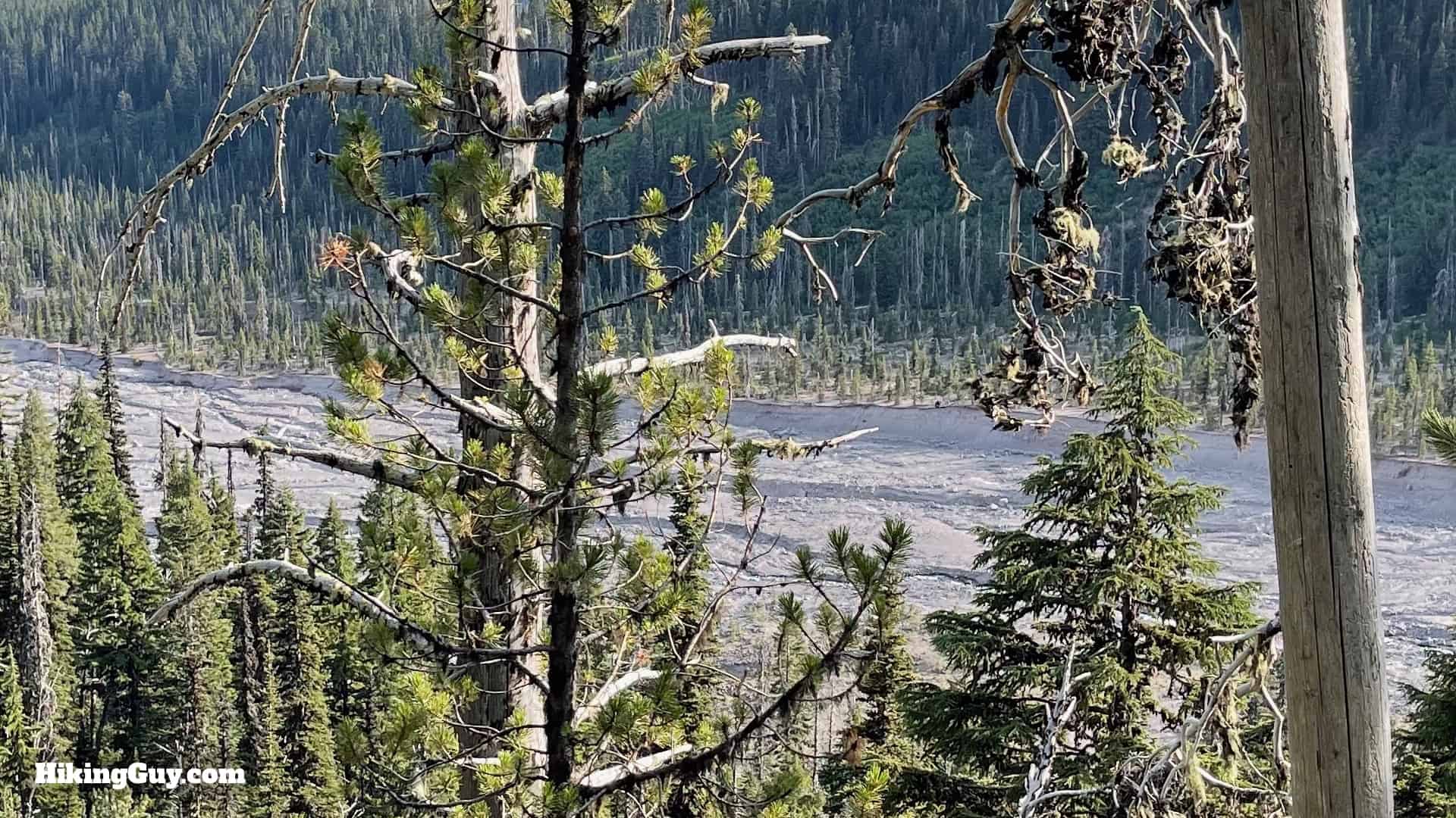 Timberline Trail Directions 161