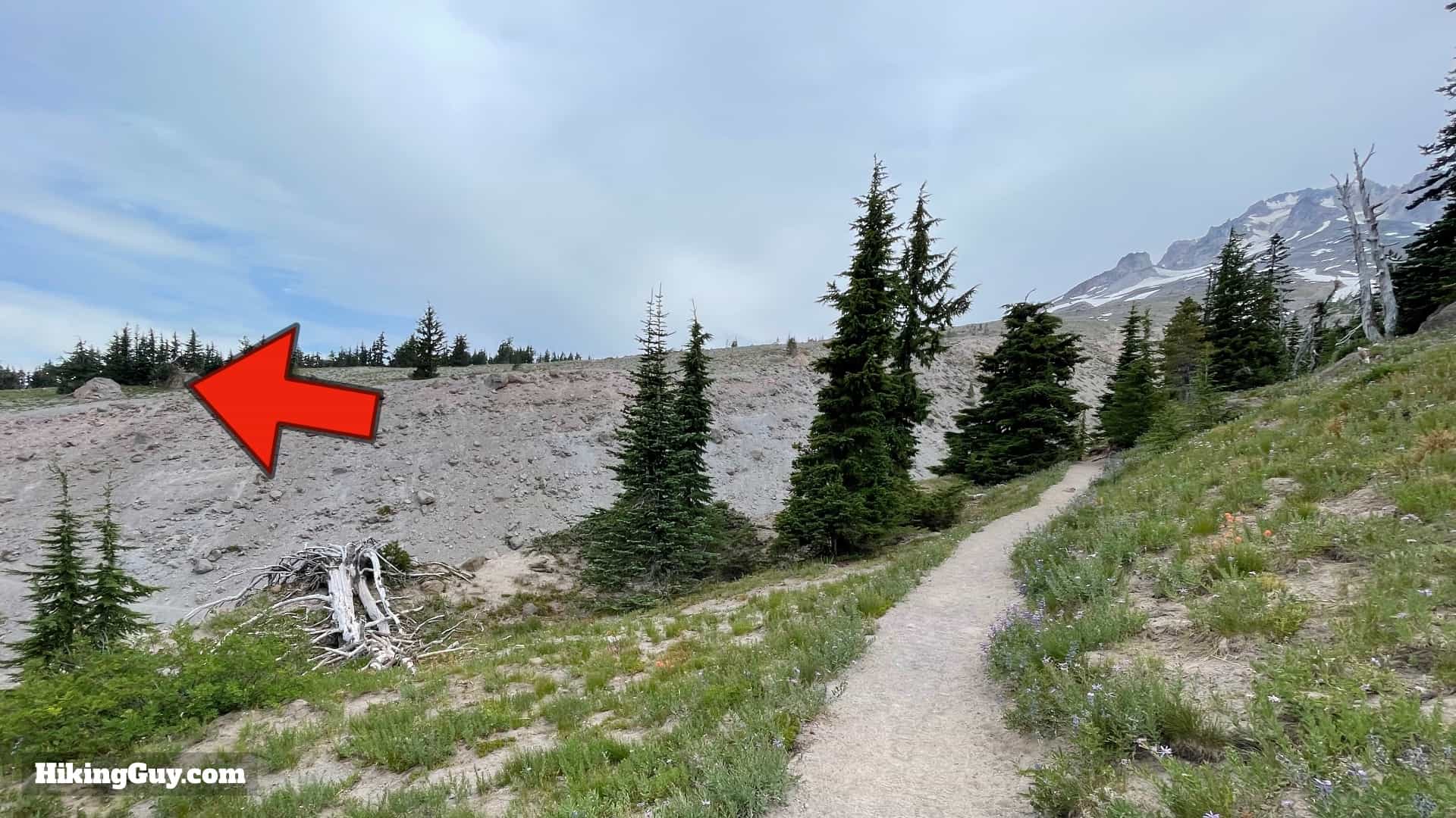 Timberline Trail Directions 17