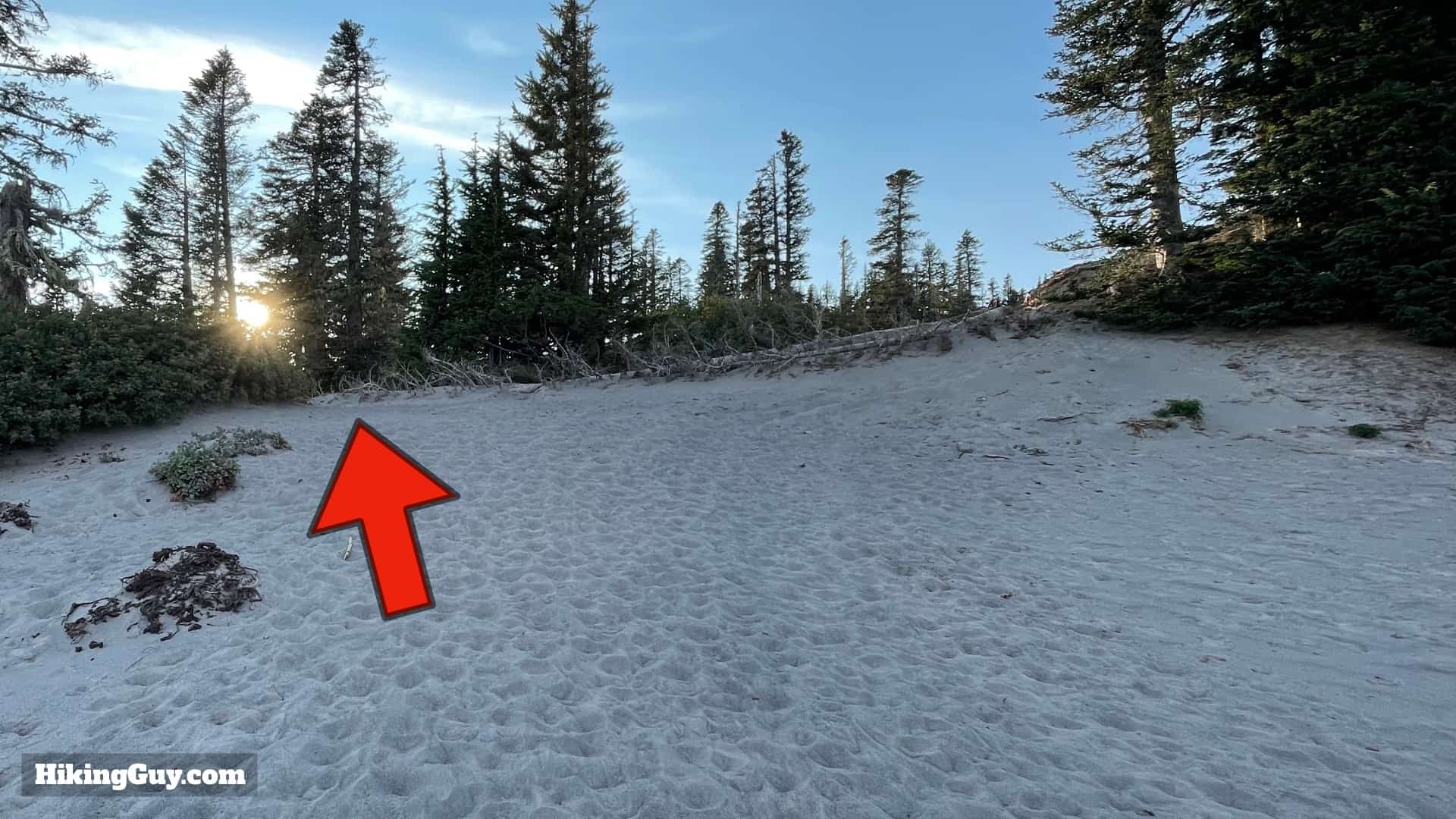 Timberline Trail Directions 170