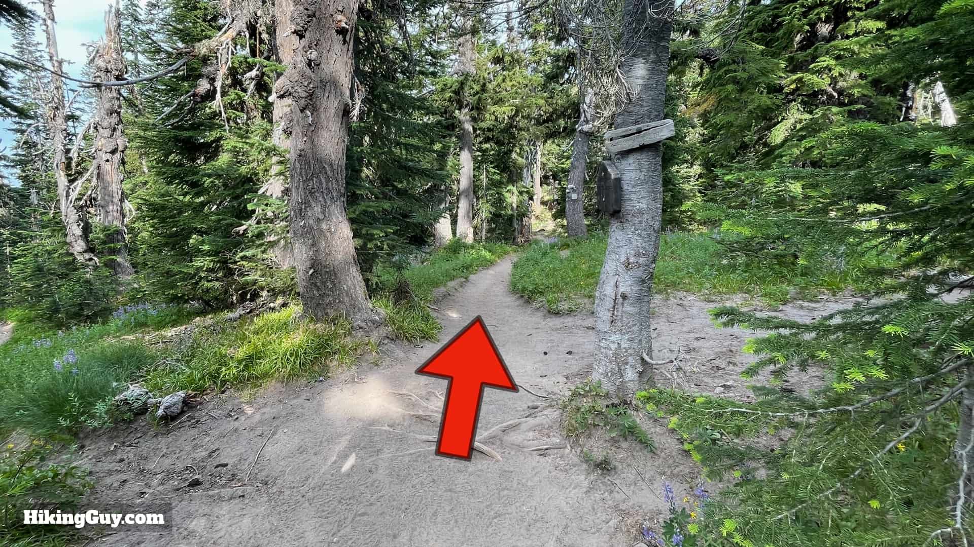 Timberline Trail Directions 19