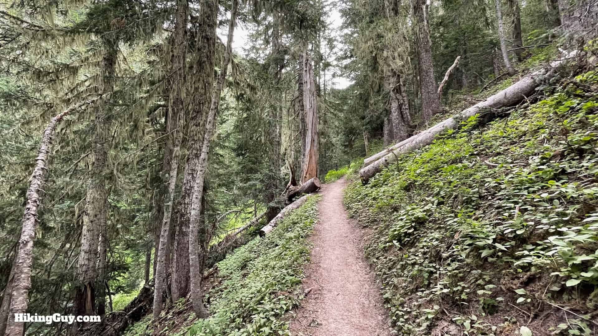 Timberline Trail Directions 26