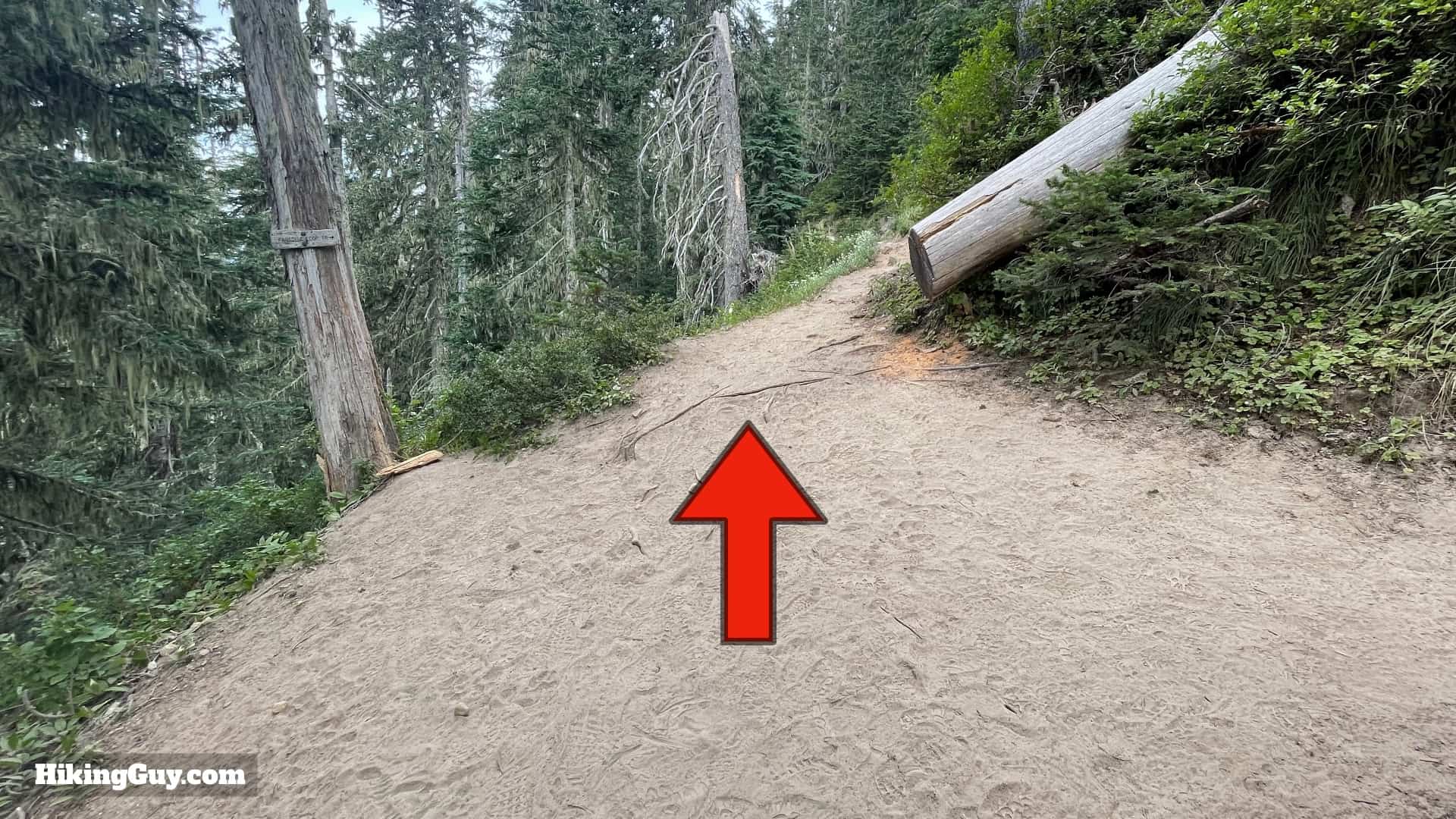 Timberline Trail Directions 27