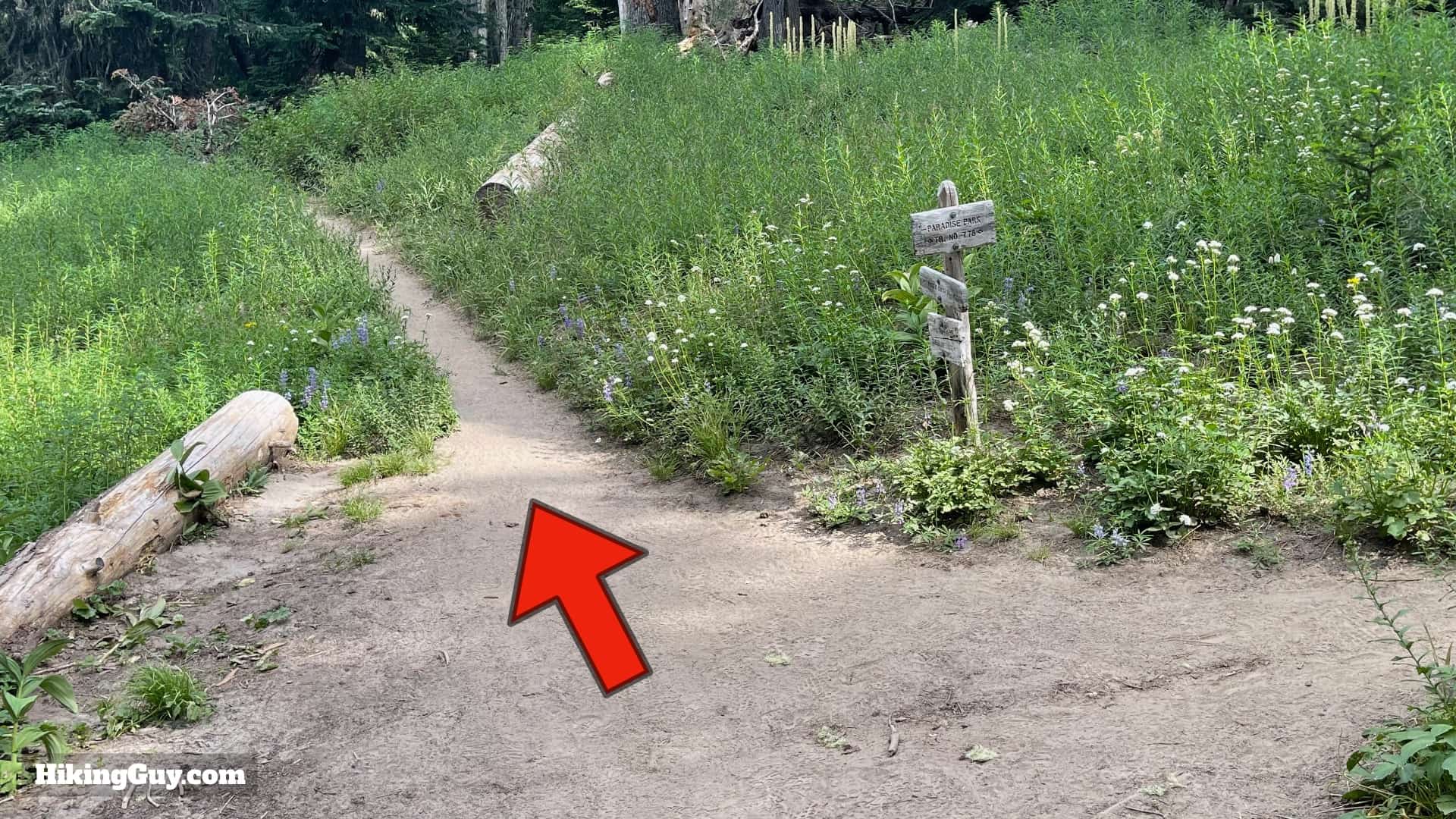 Timberline Trail Directions 29