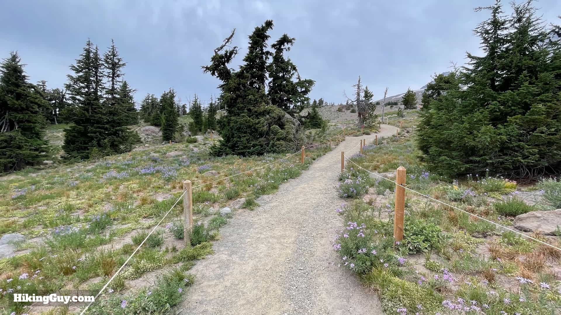 Timberline Trail Directions 3