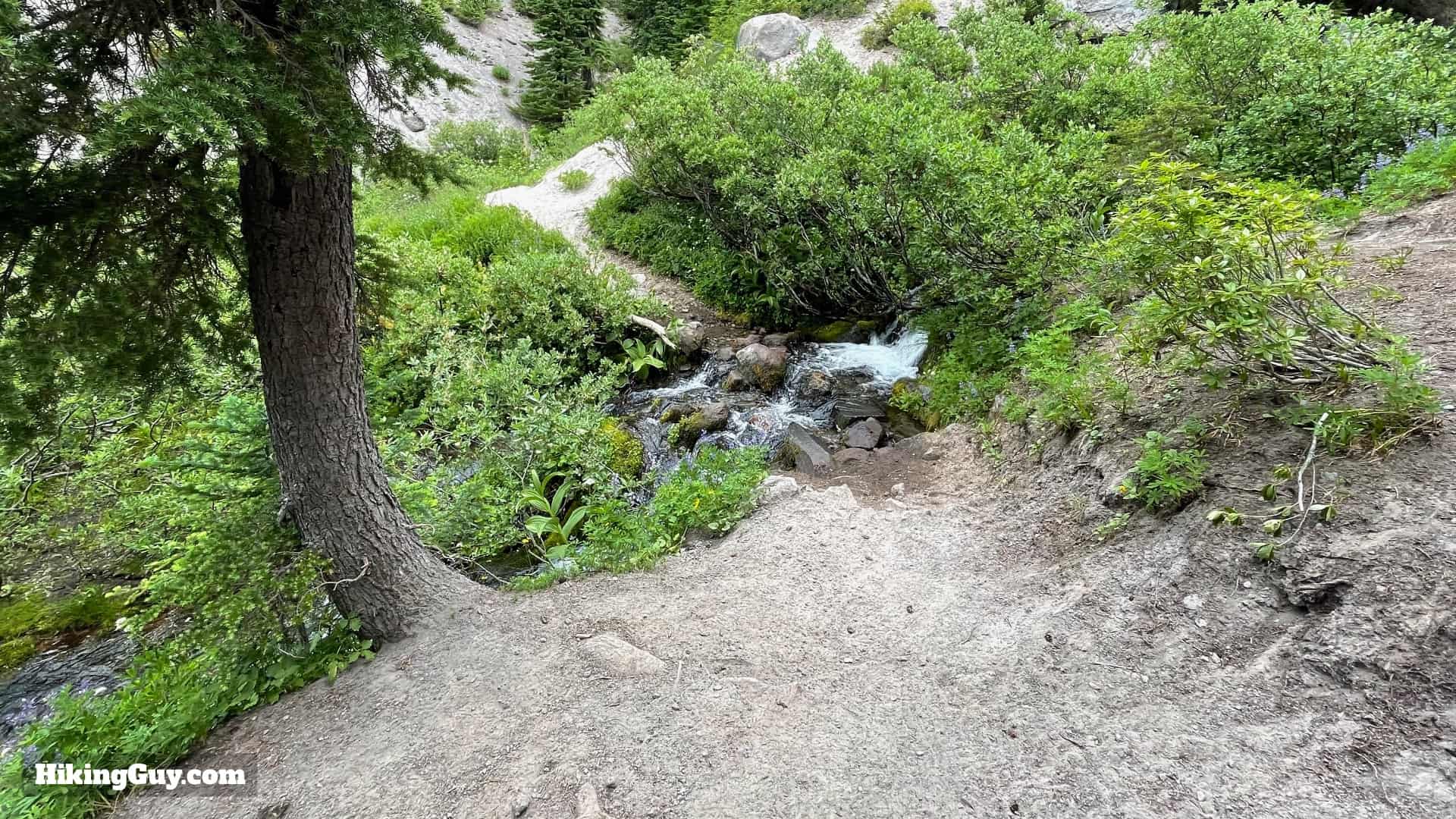 Timberline Trail Directions 31