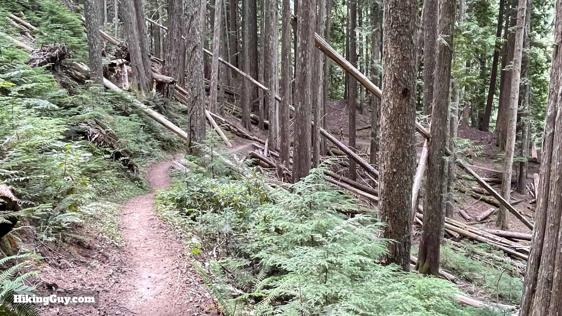 Timberline Trail Directions 41