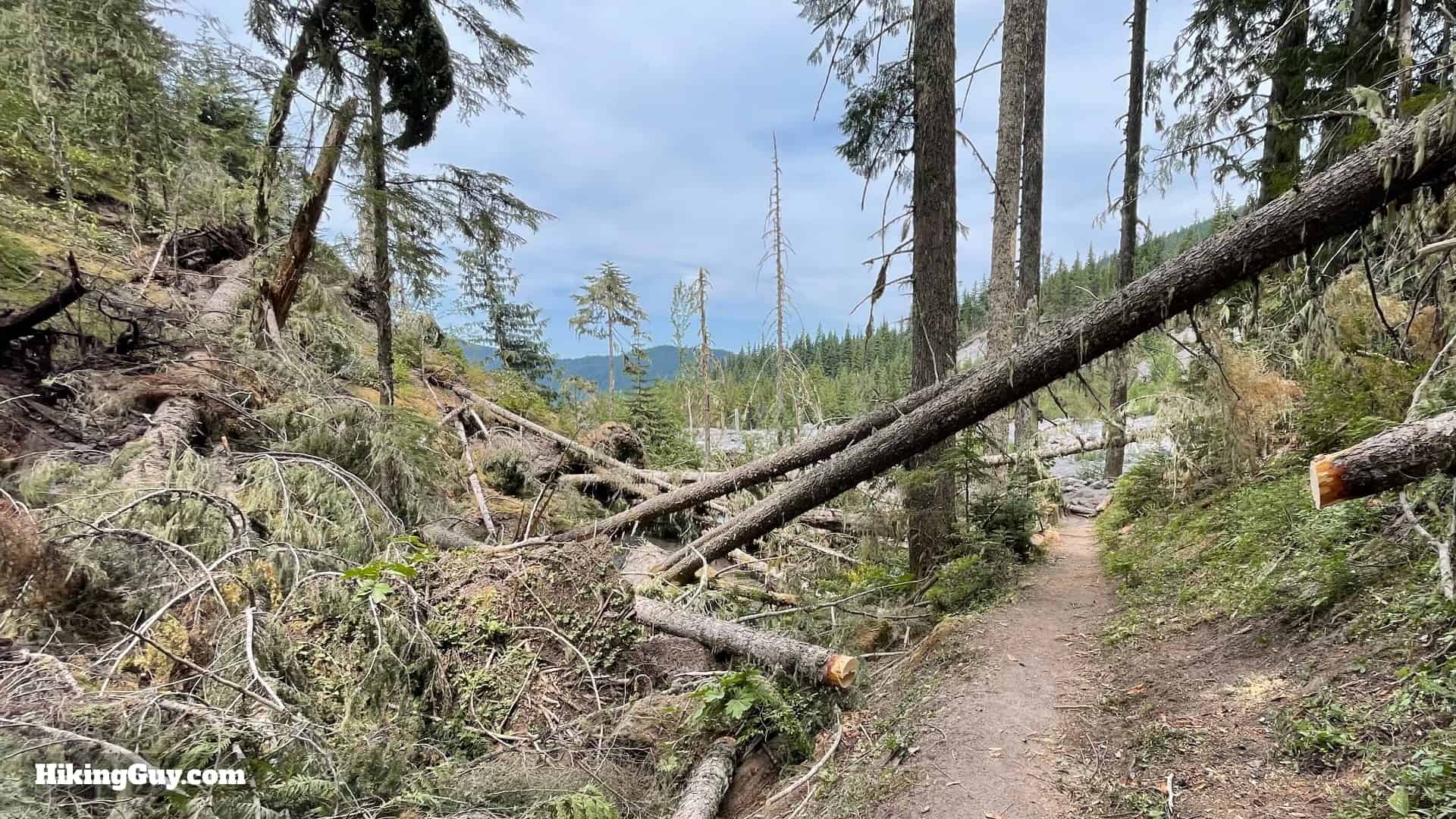 Timberline Trail Directions 42